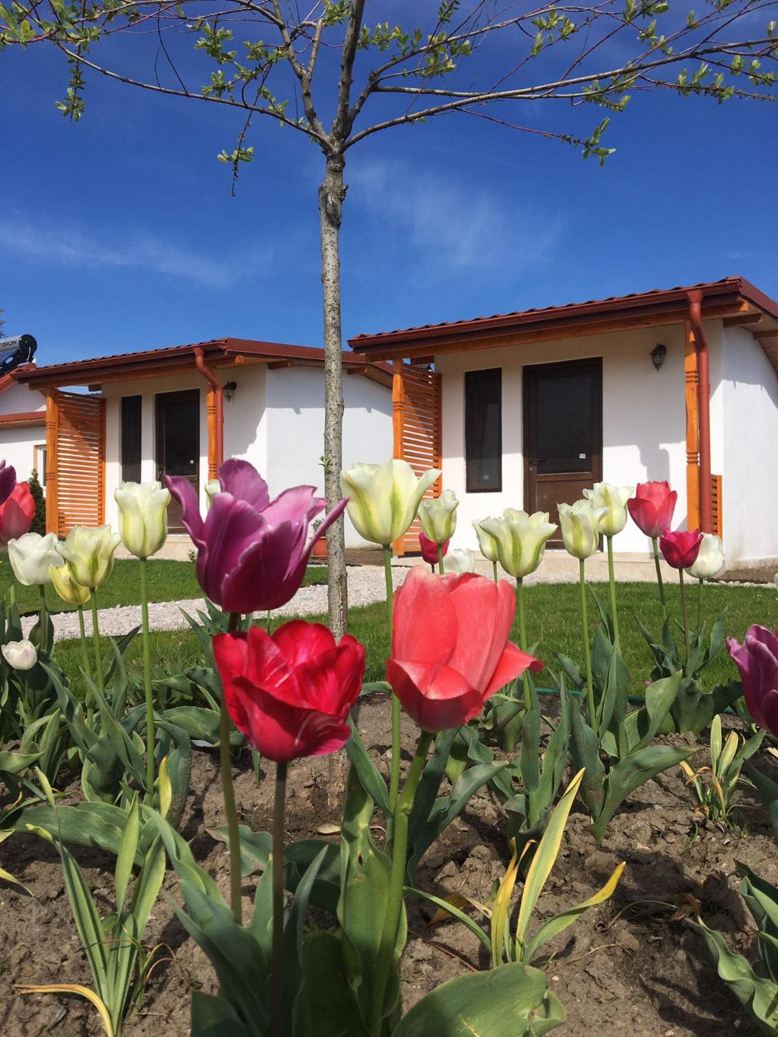 Casa Ivana