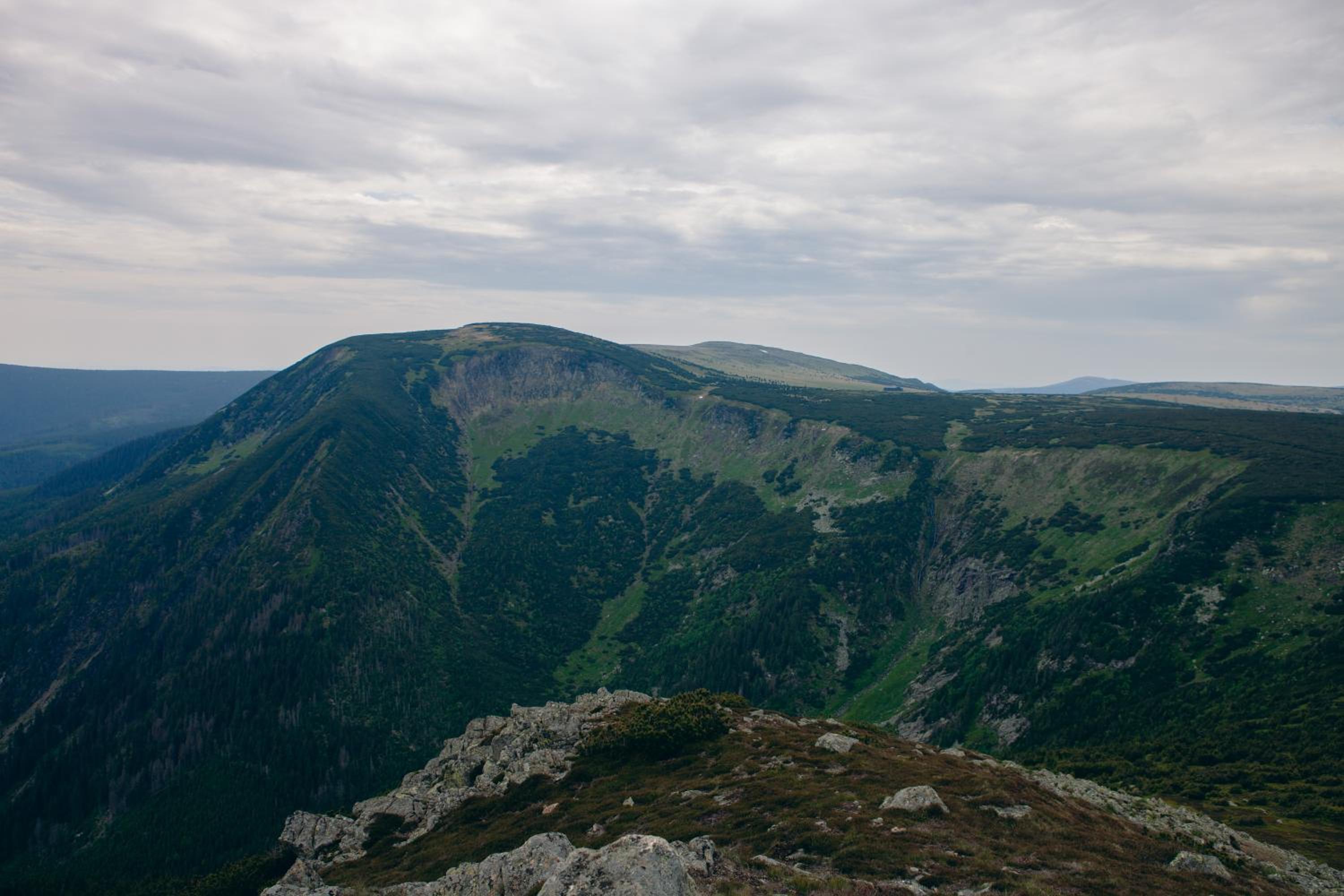 Photo 44