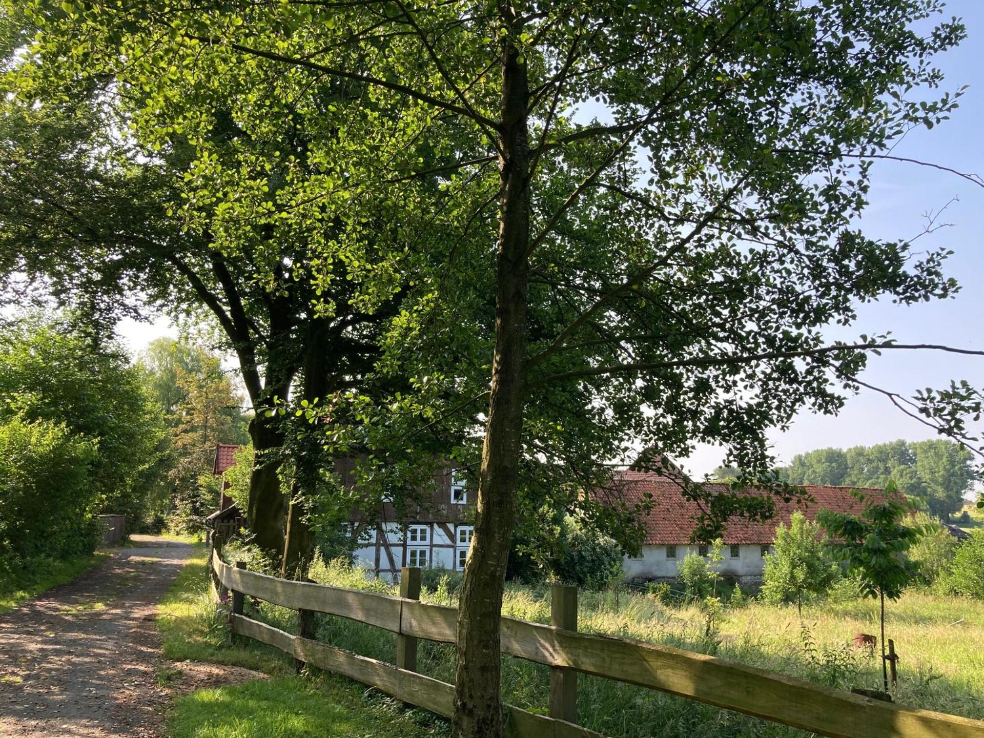 In der Wassermühle