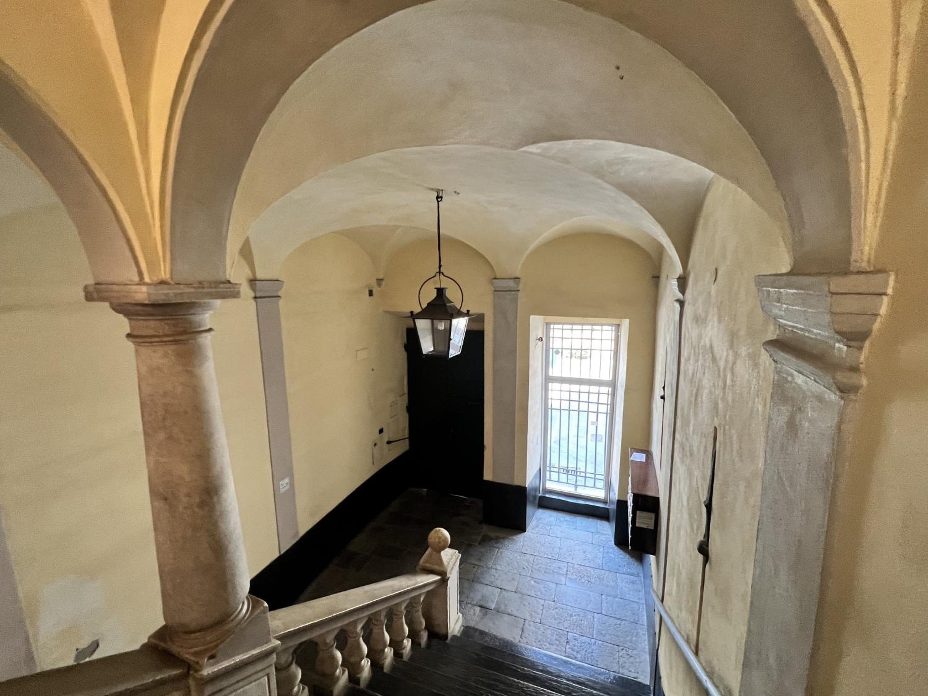 House Doge Antonino by Holiday World view 4