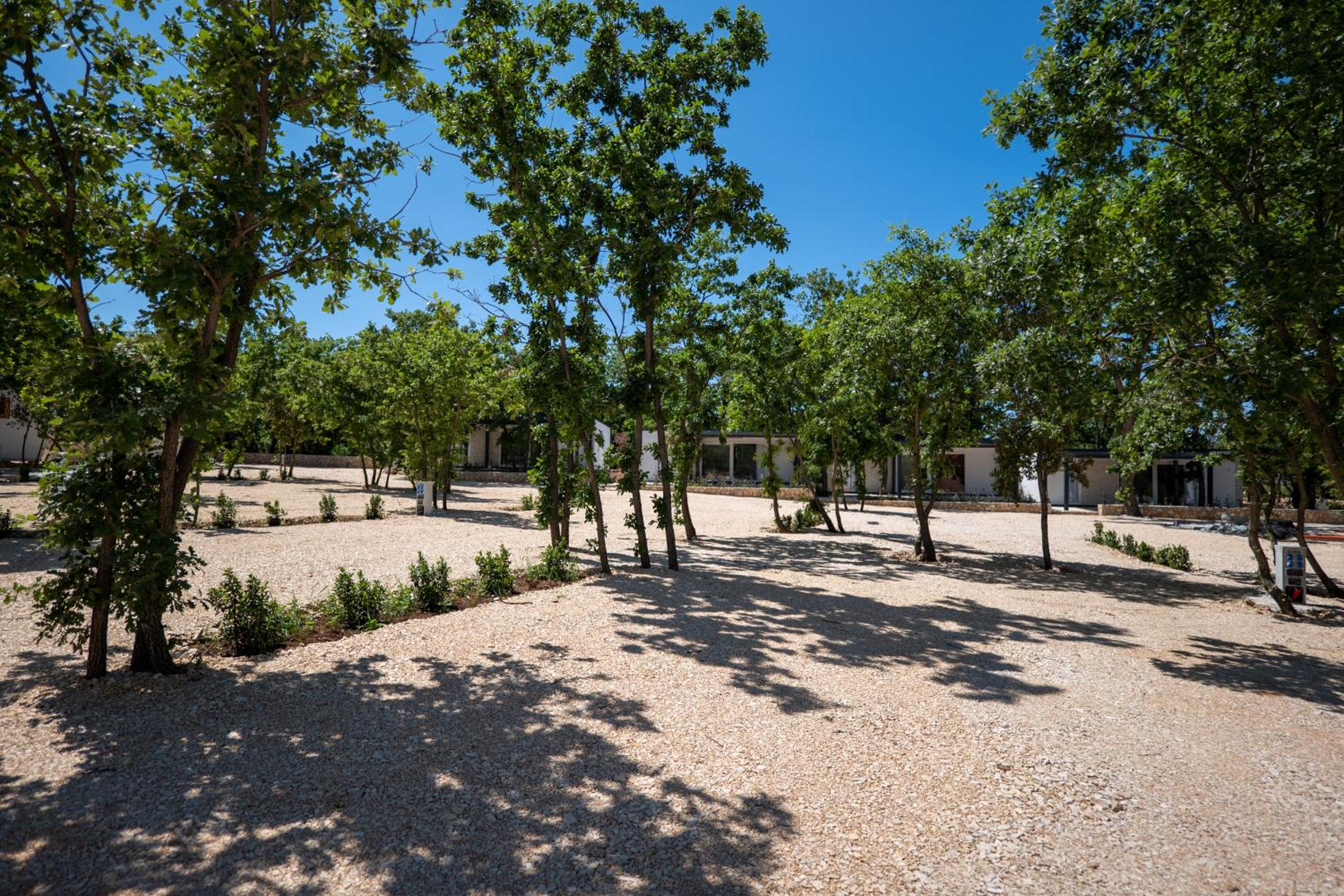 Dionis Camping Zaton