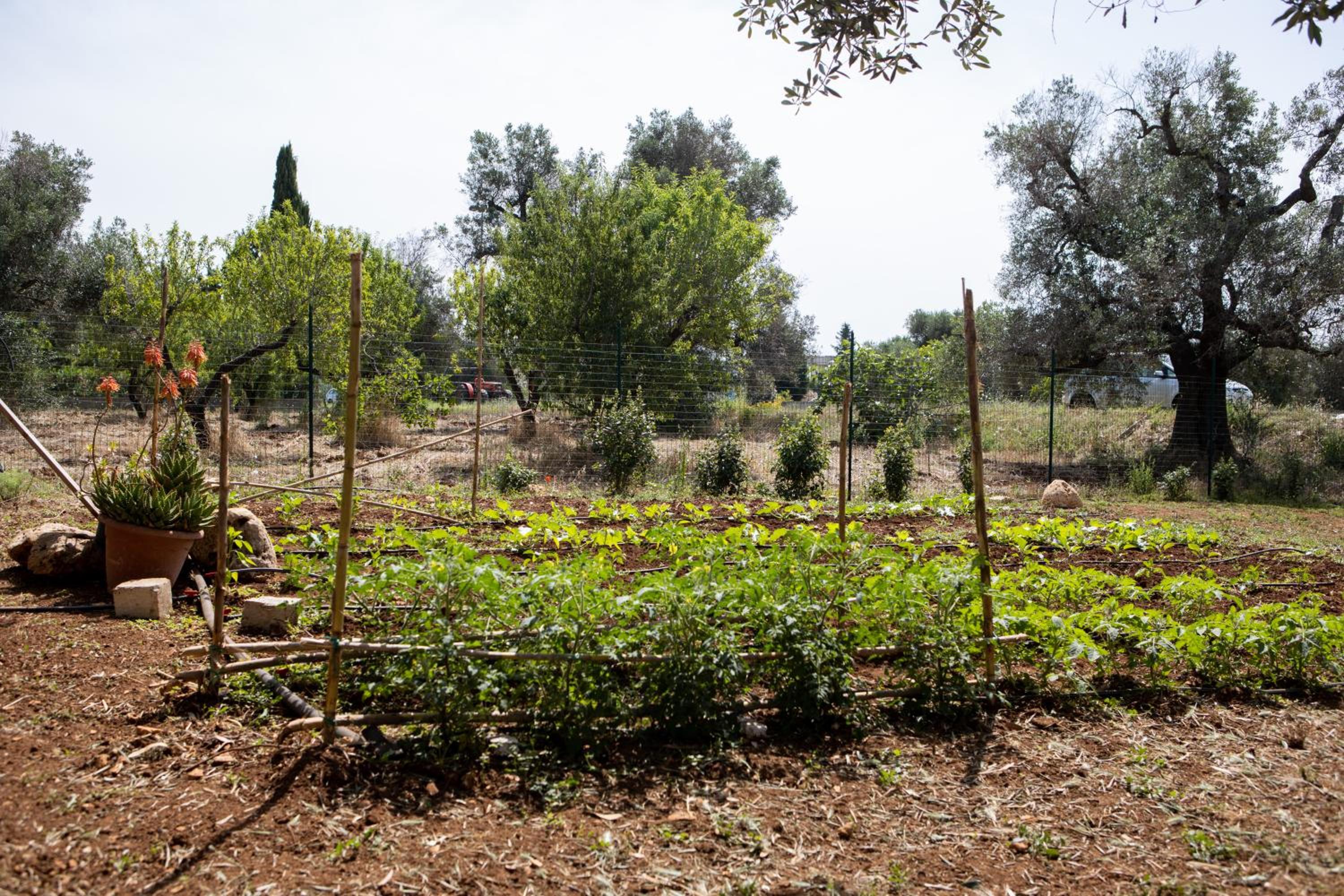 Photo 25