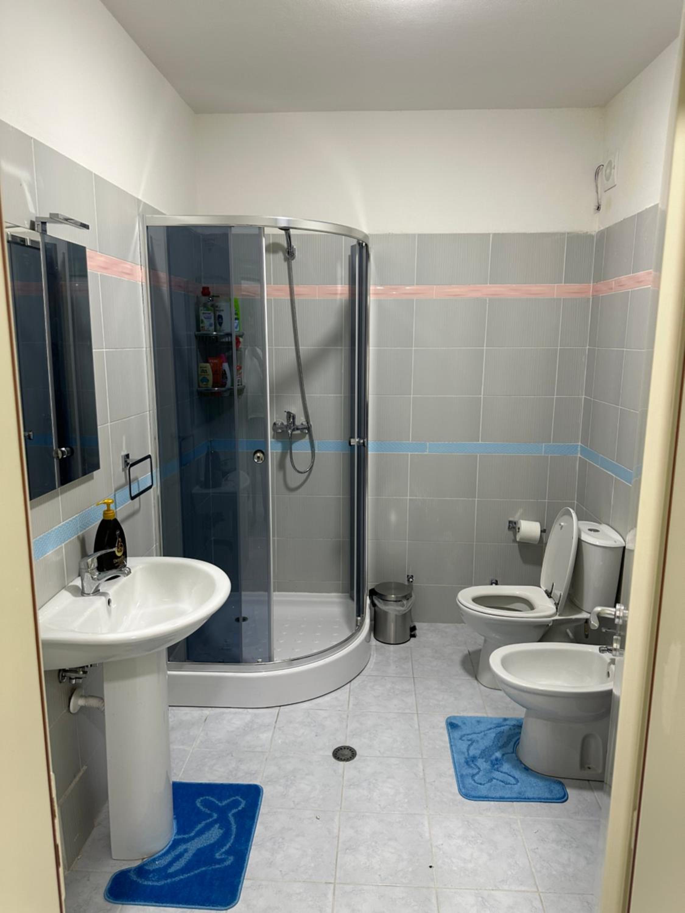 City Center Apartment Scutari
