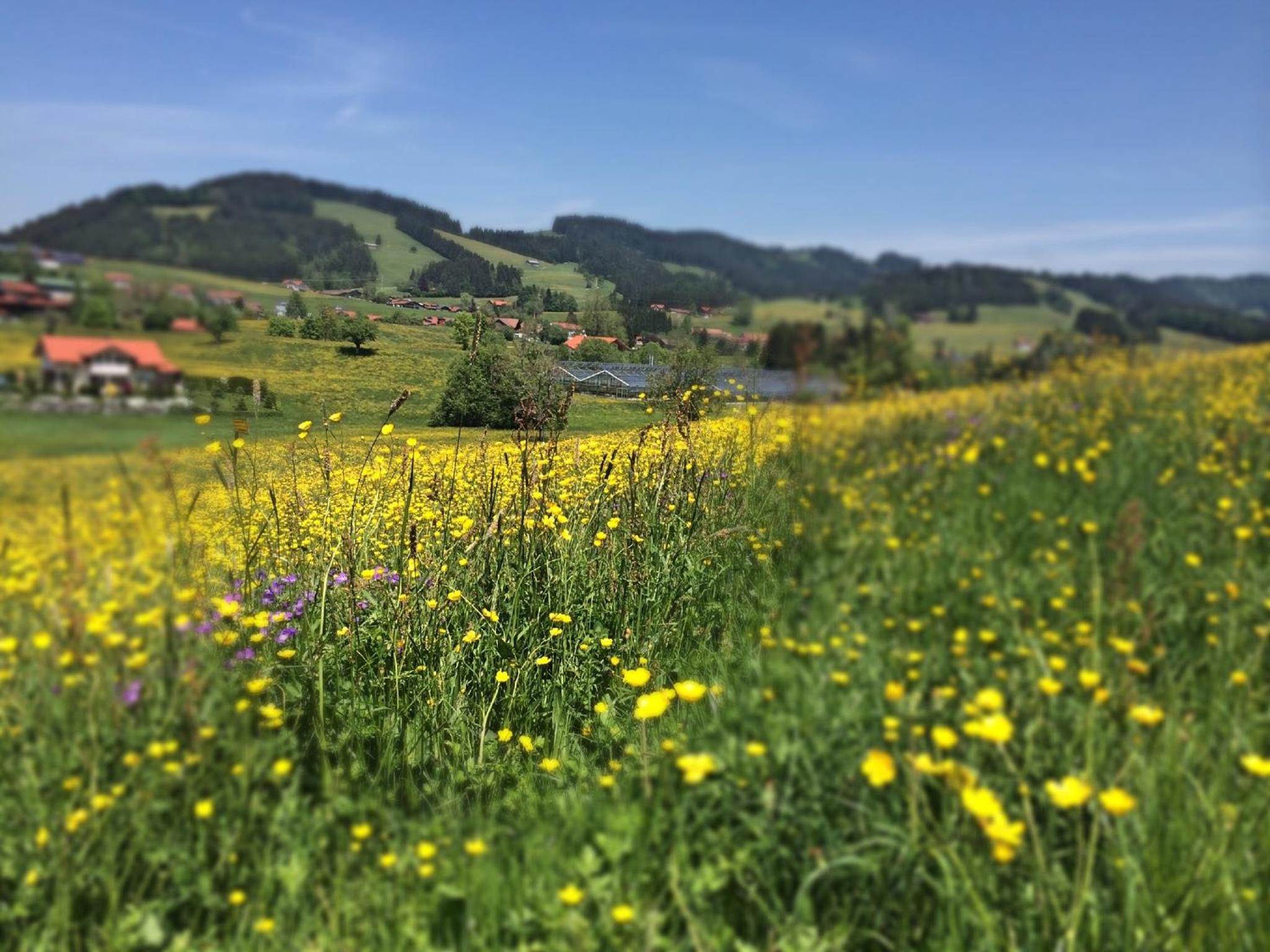 Sonnenhof - Ferienwohnung