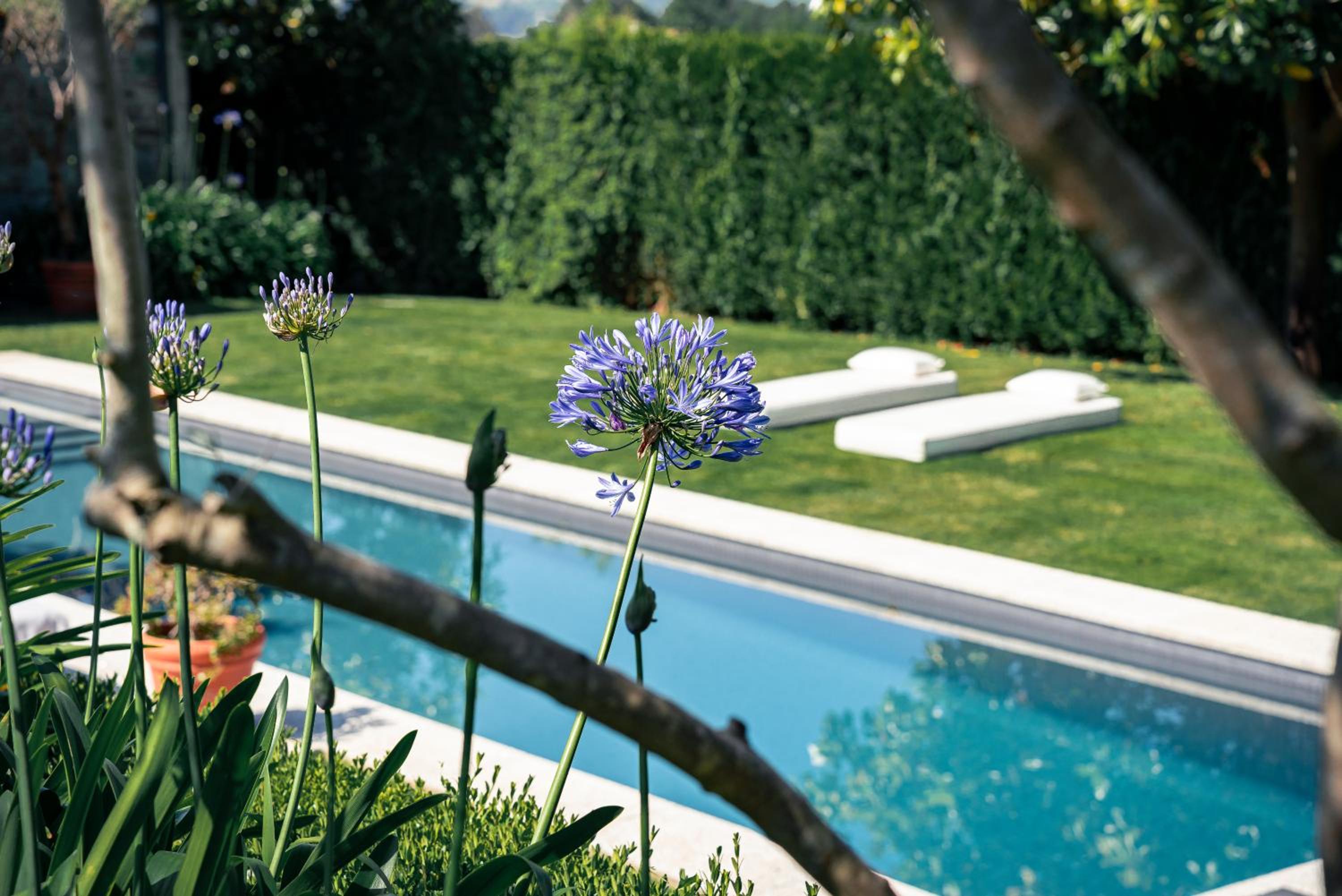 Villa Los Magnolios