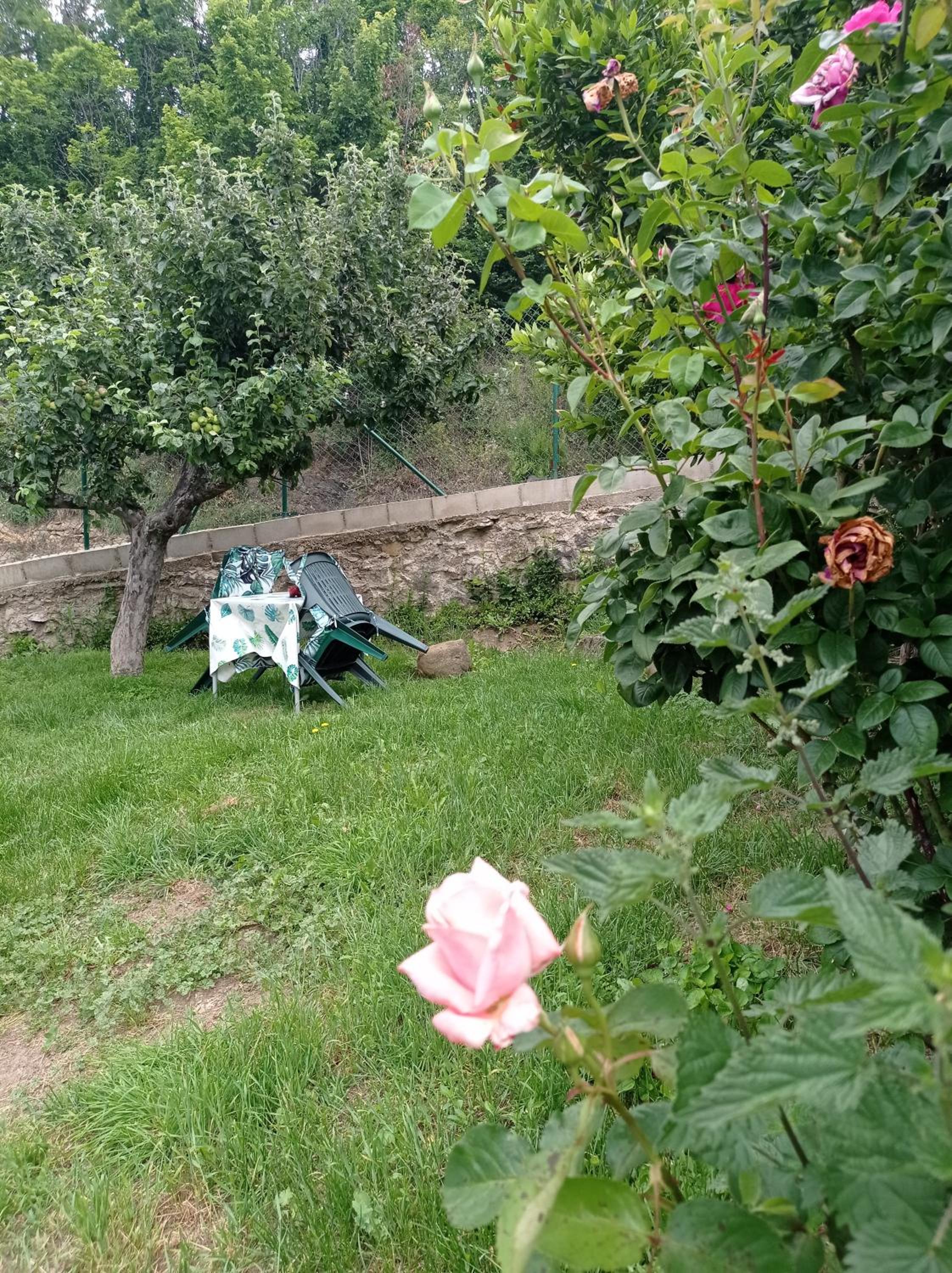 Photo 33