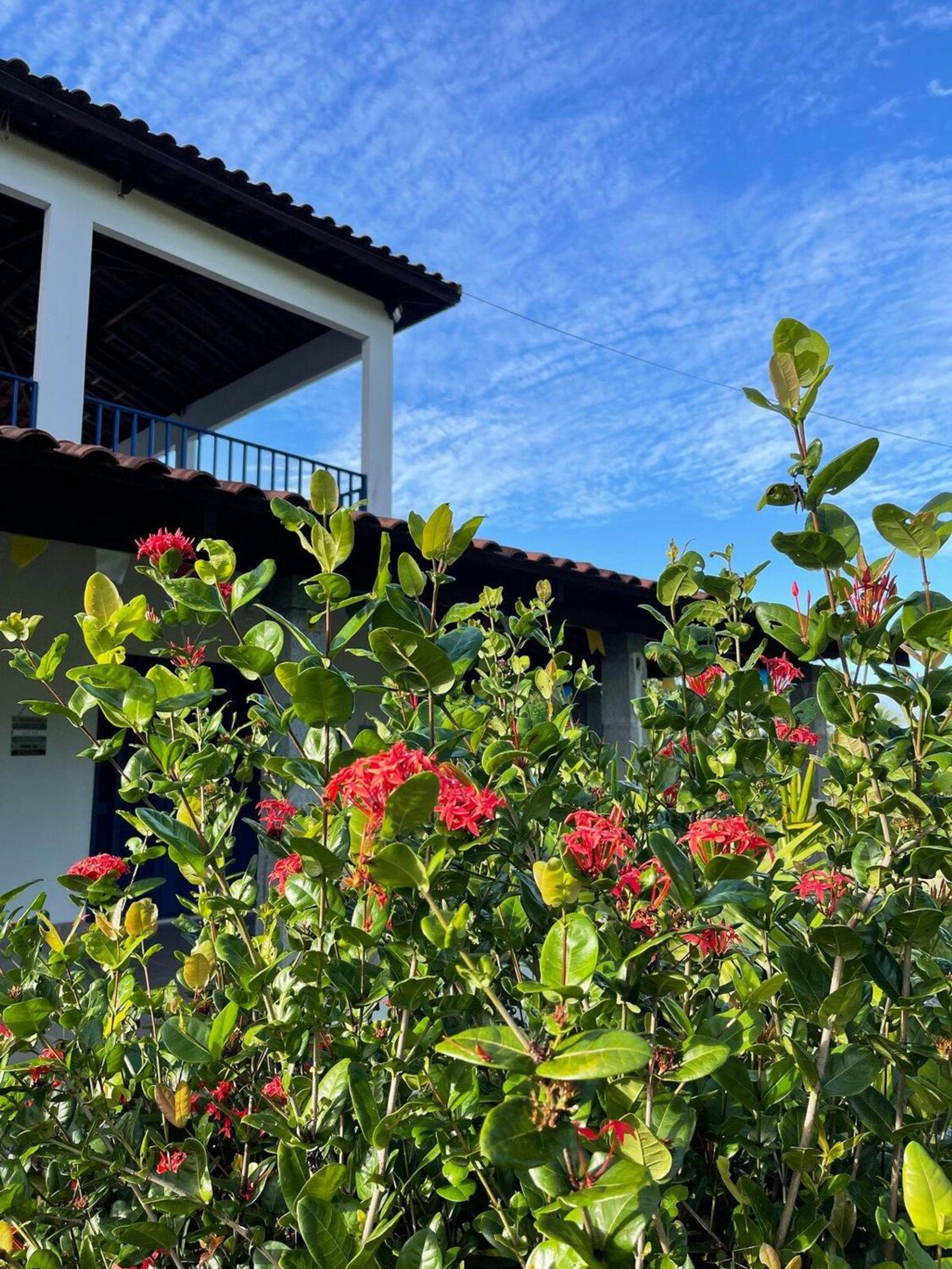 Hotel Pousada Flor de Alecrim