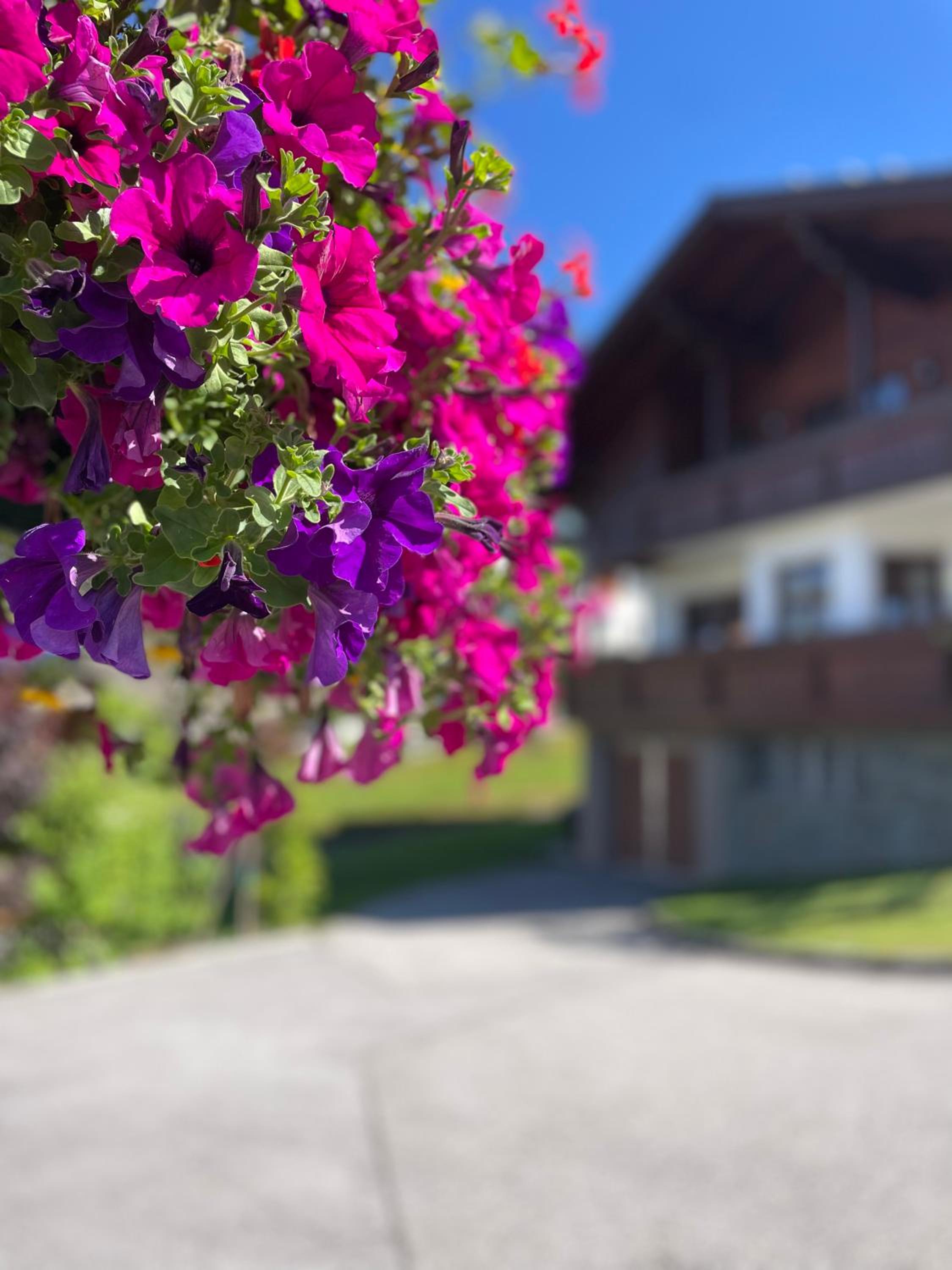 Luserblick