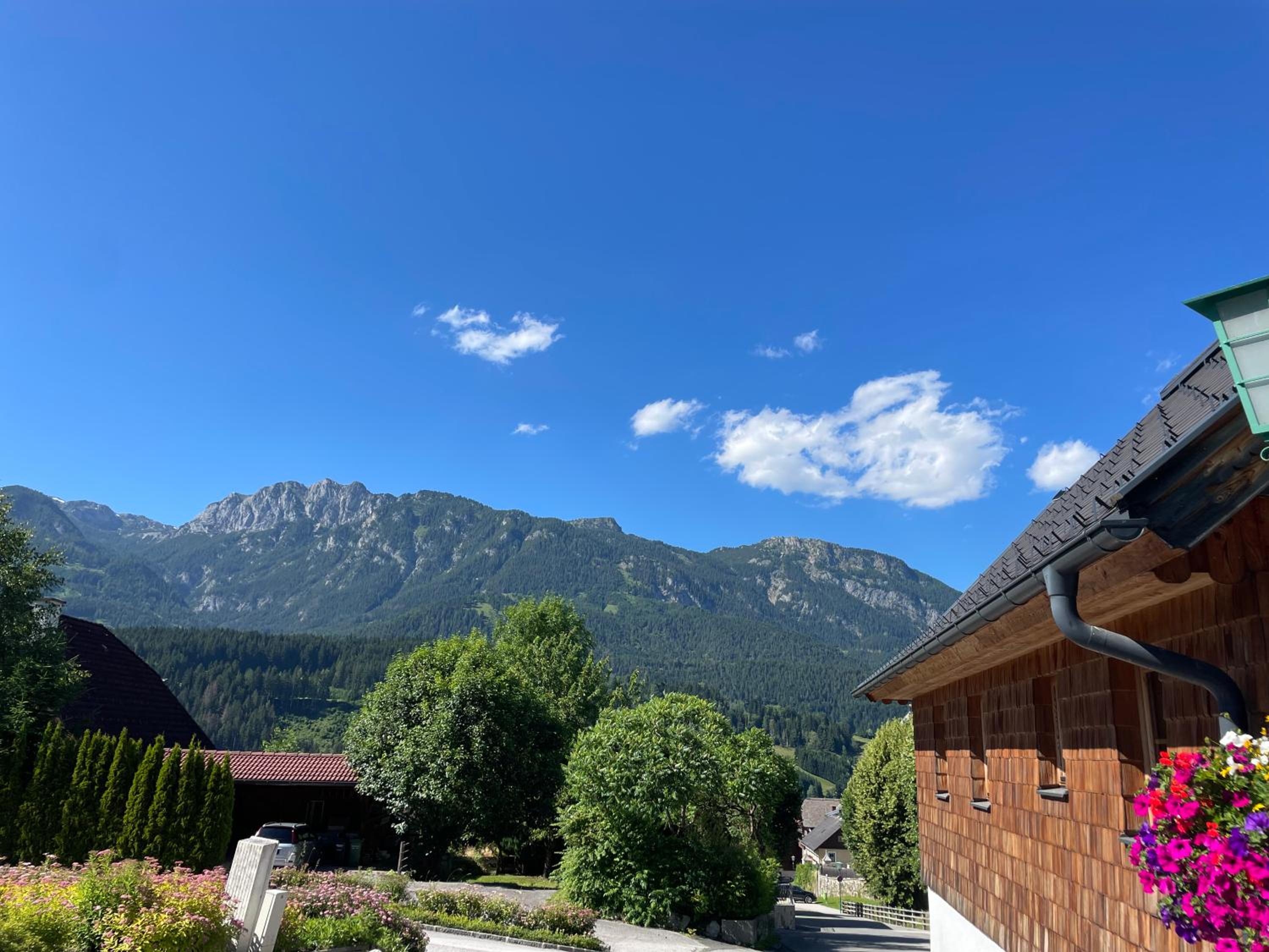 Luserblick