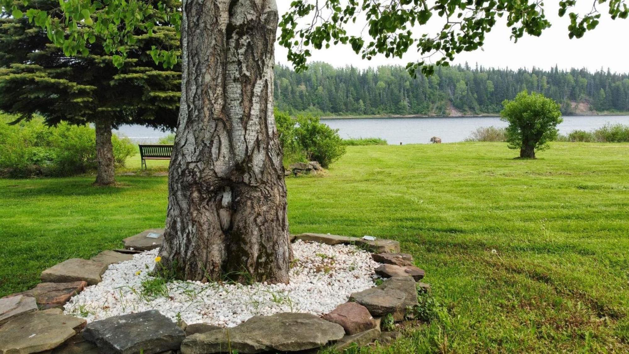 Cache Rapids Vacation Rental