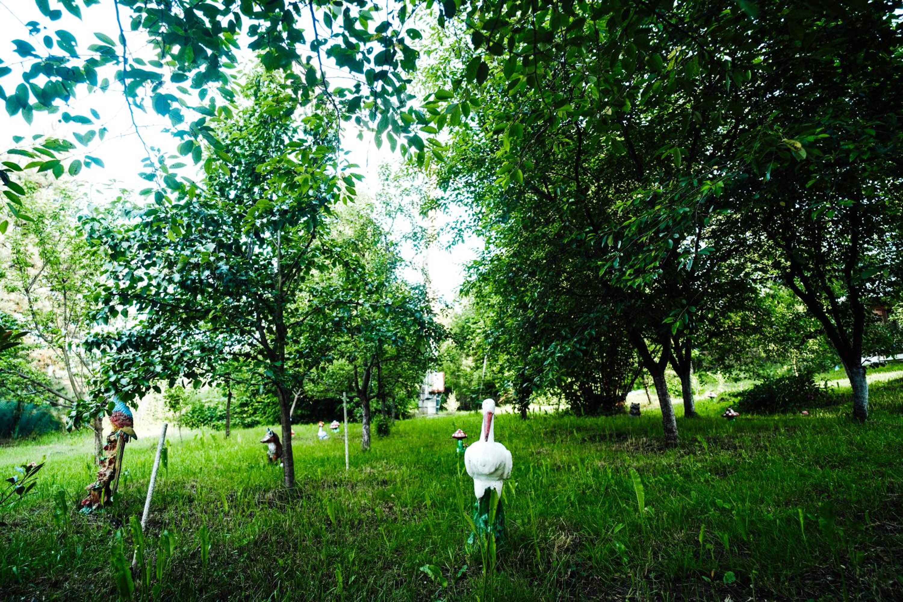 Photo 25