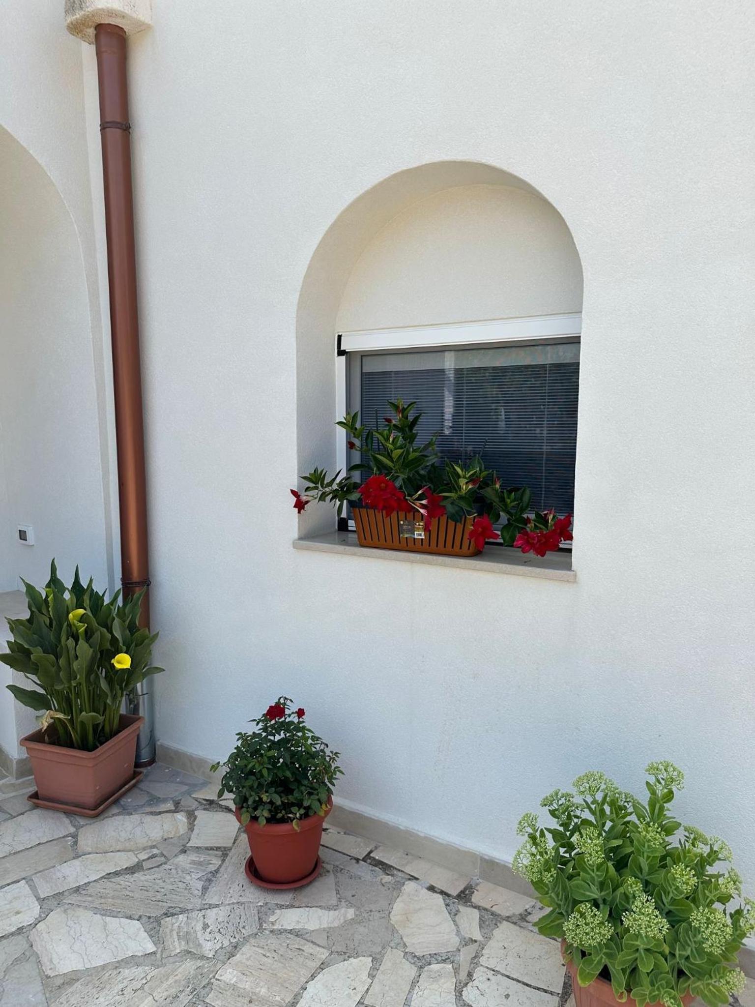 Trullo Gnoffa view 4