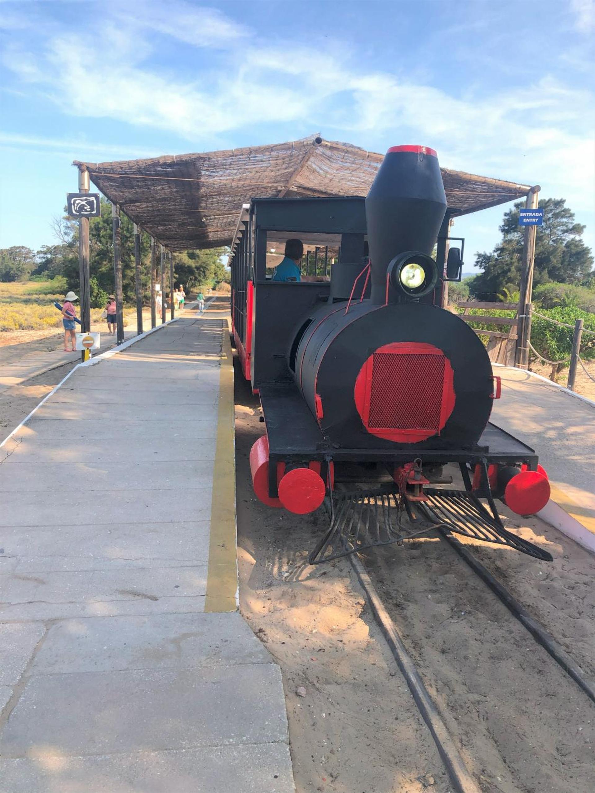 Photo 17