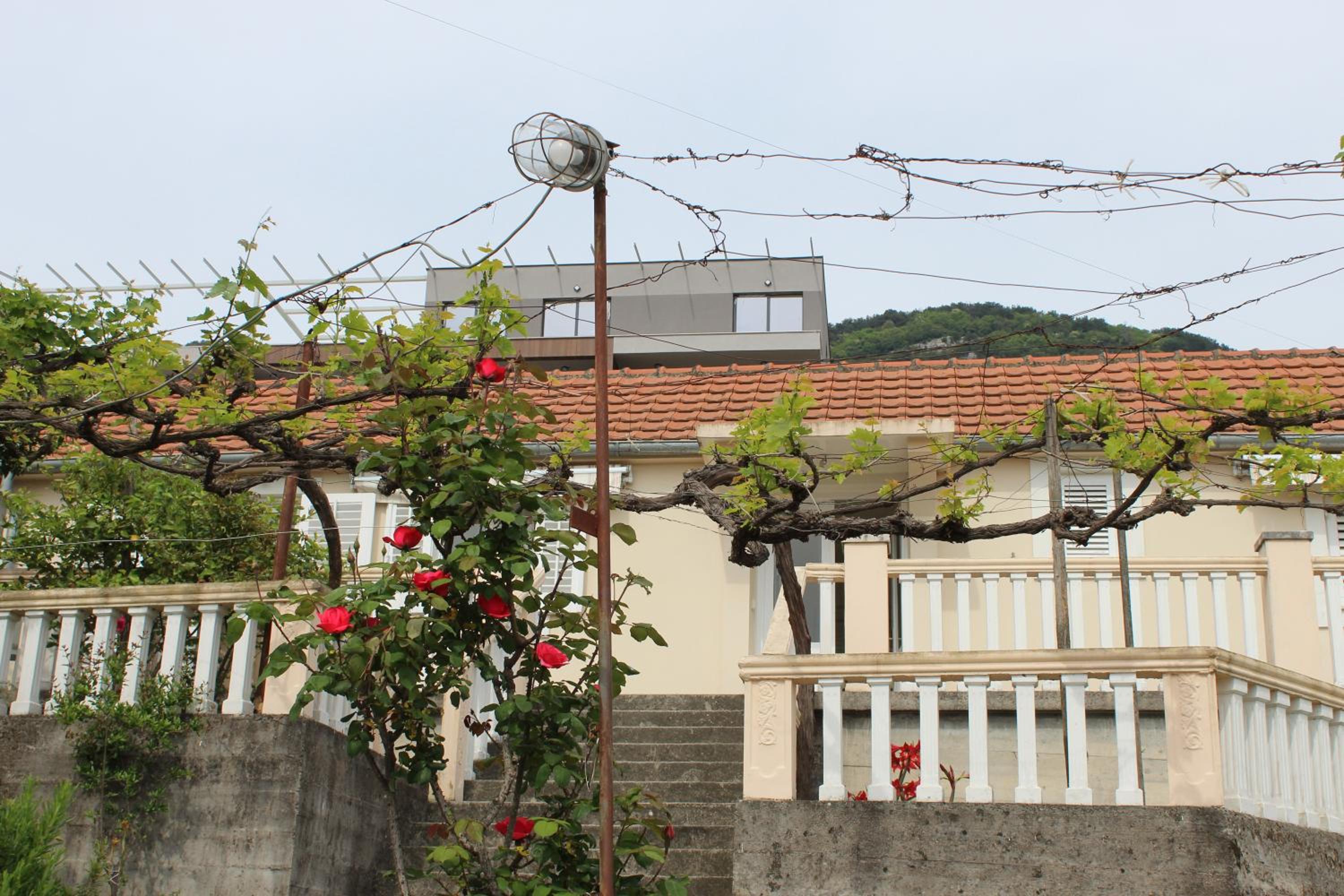 Apartman Maslovar