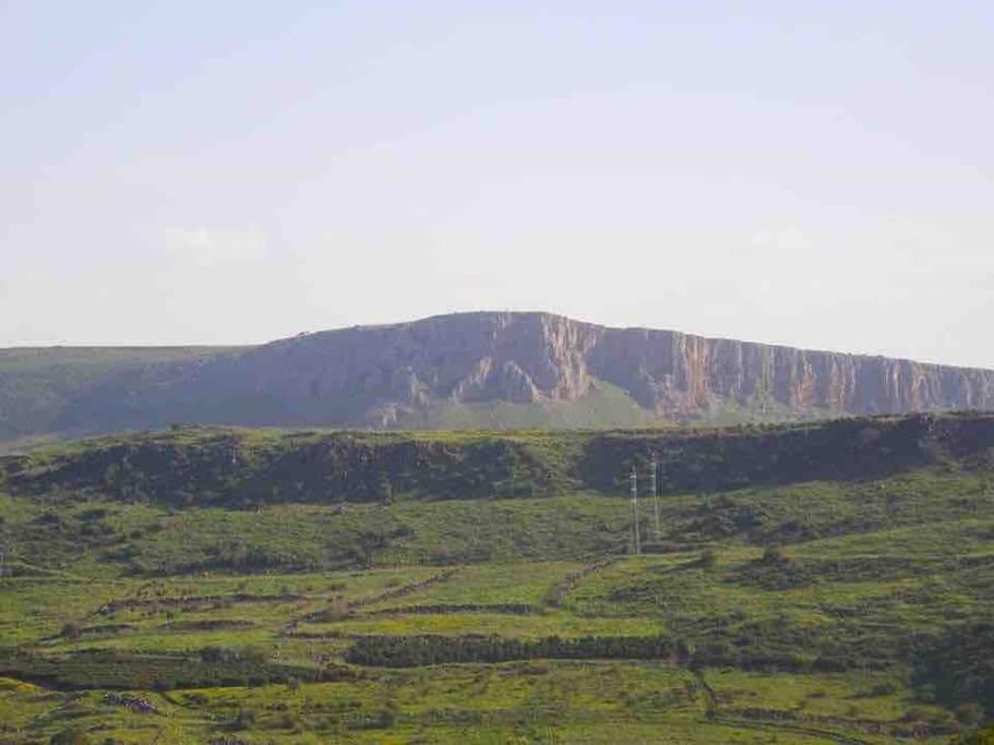 Photo 33
