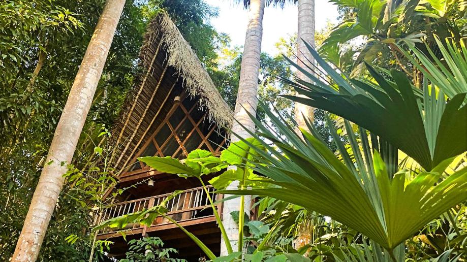 PUQIO ECOLODGE view 2