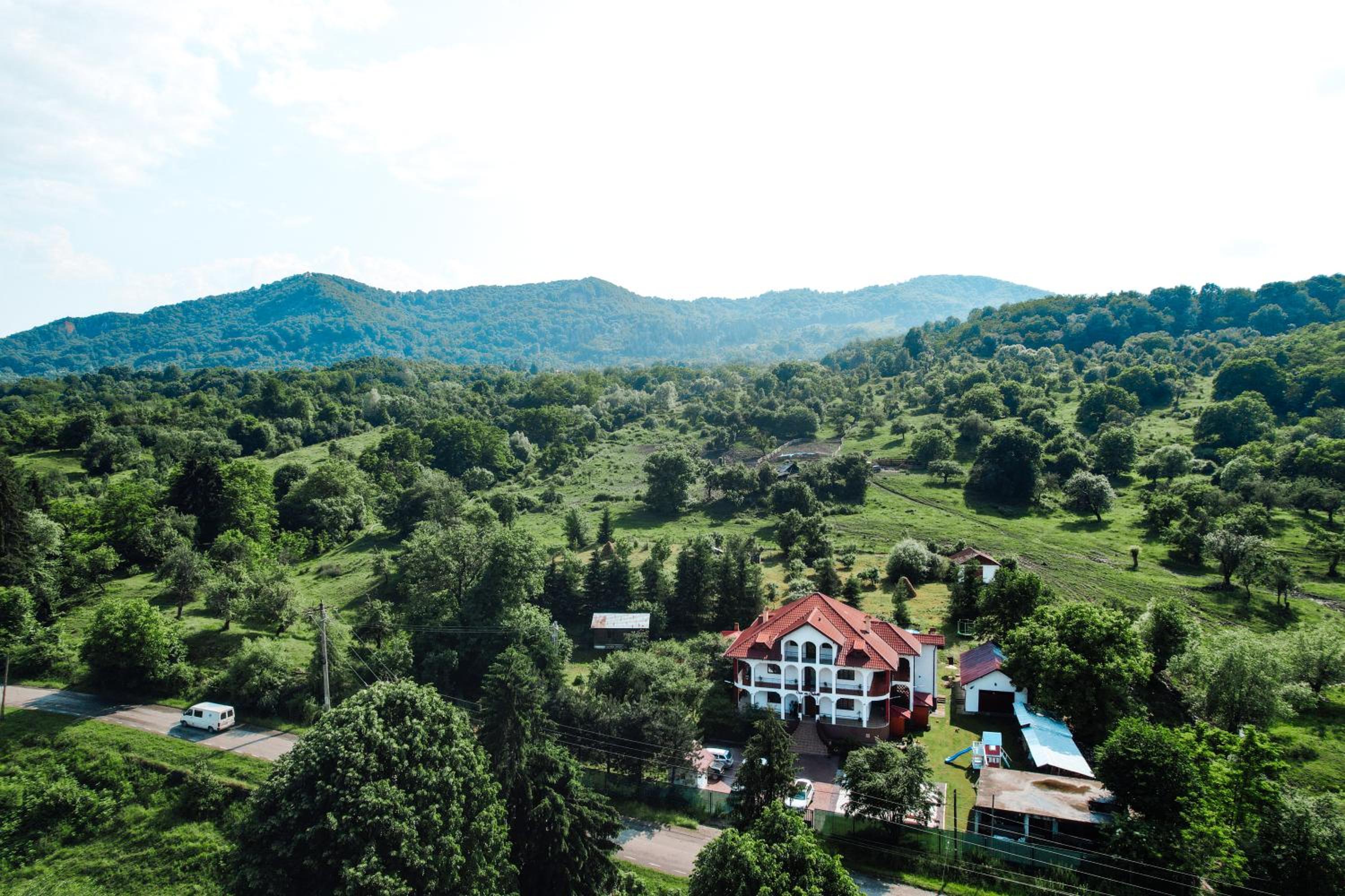 Casa cu Elefanți view 4
