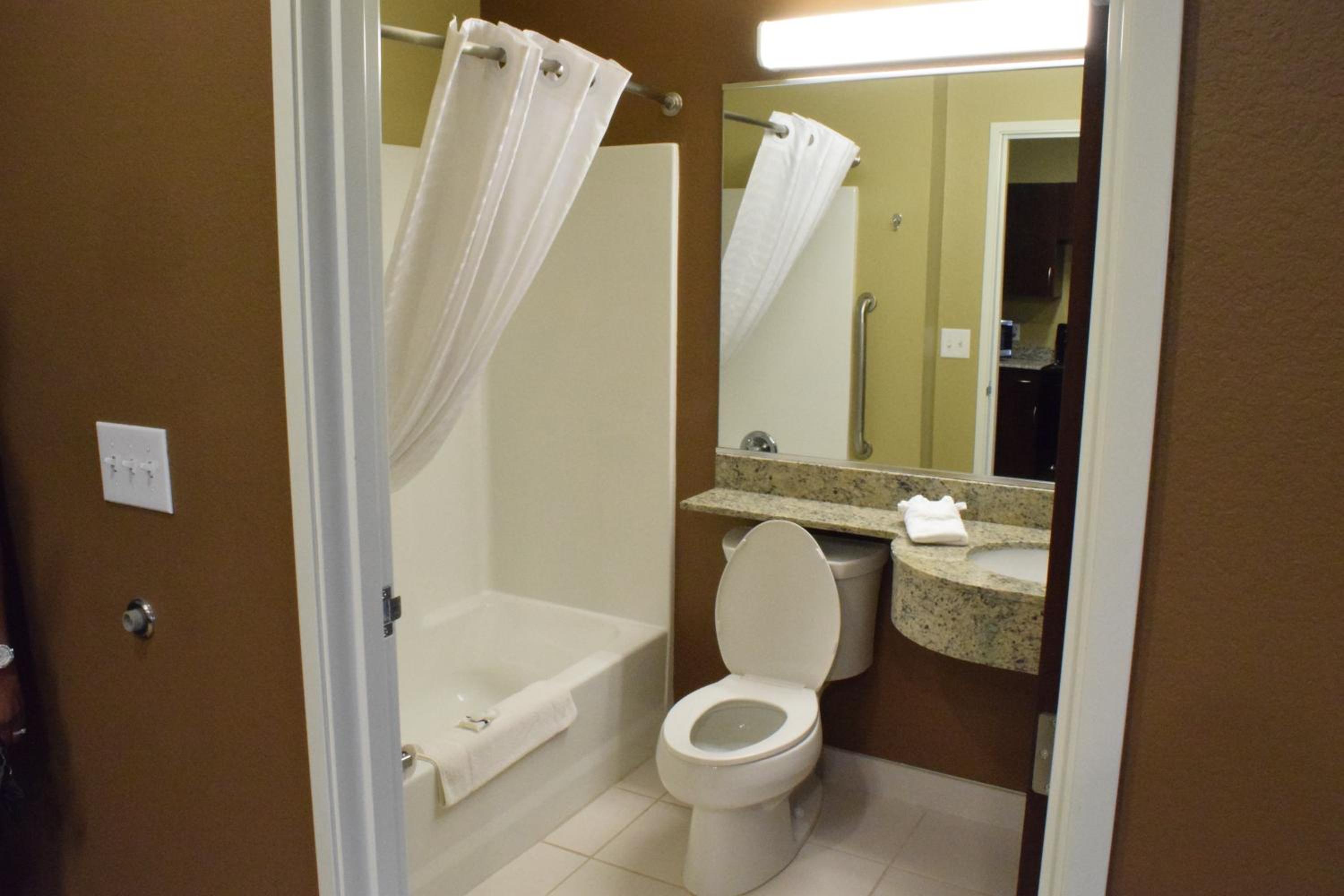 Microtel Inn and Suites Pecos, 写真 45