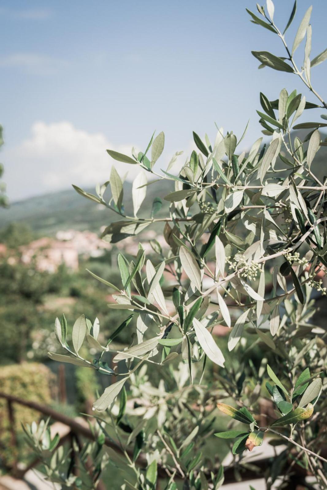 Borgata Cantone Country House B&B