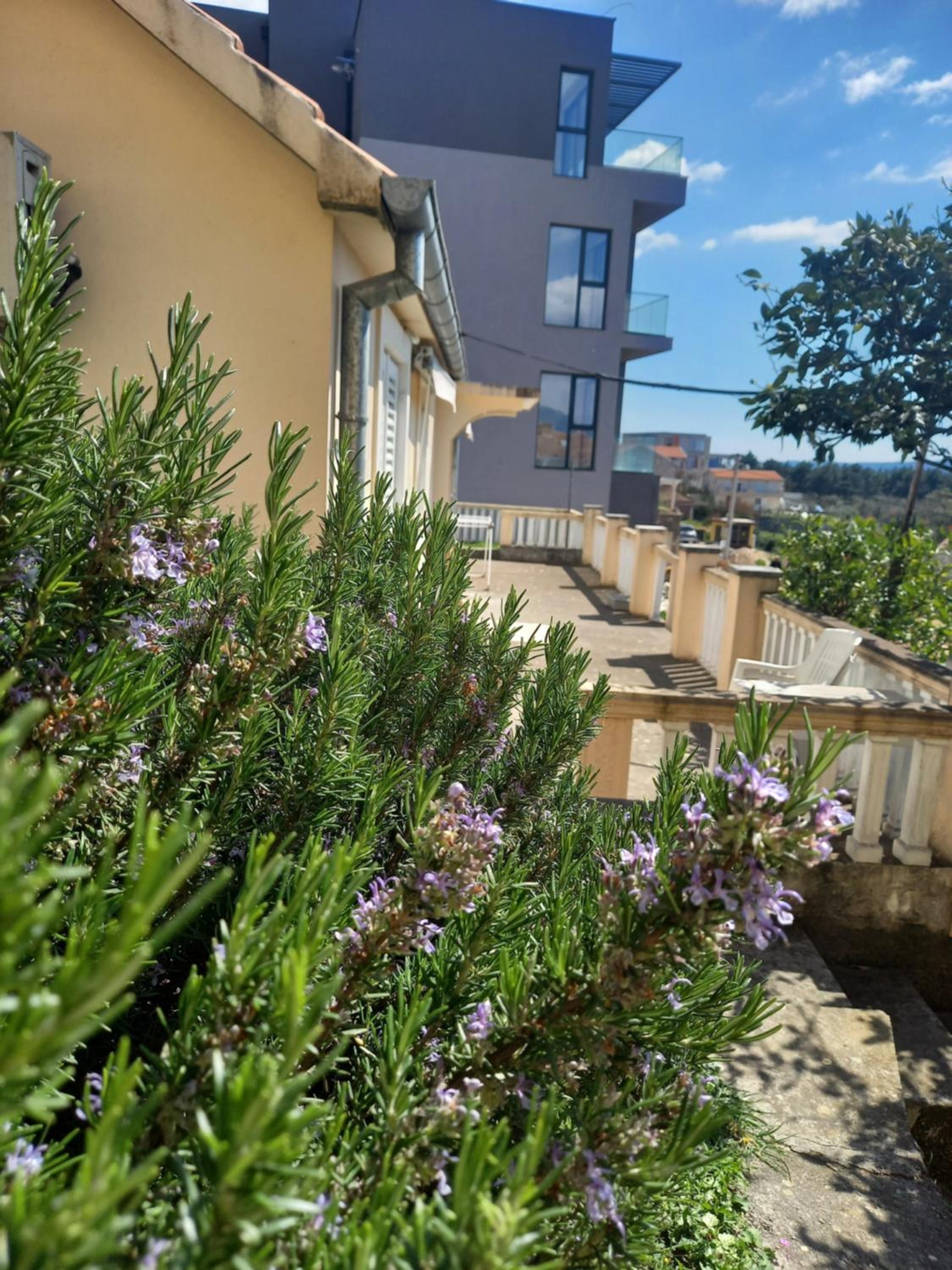 Apartman Maslovar
