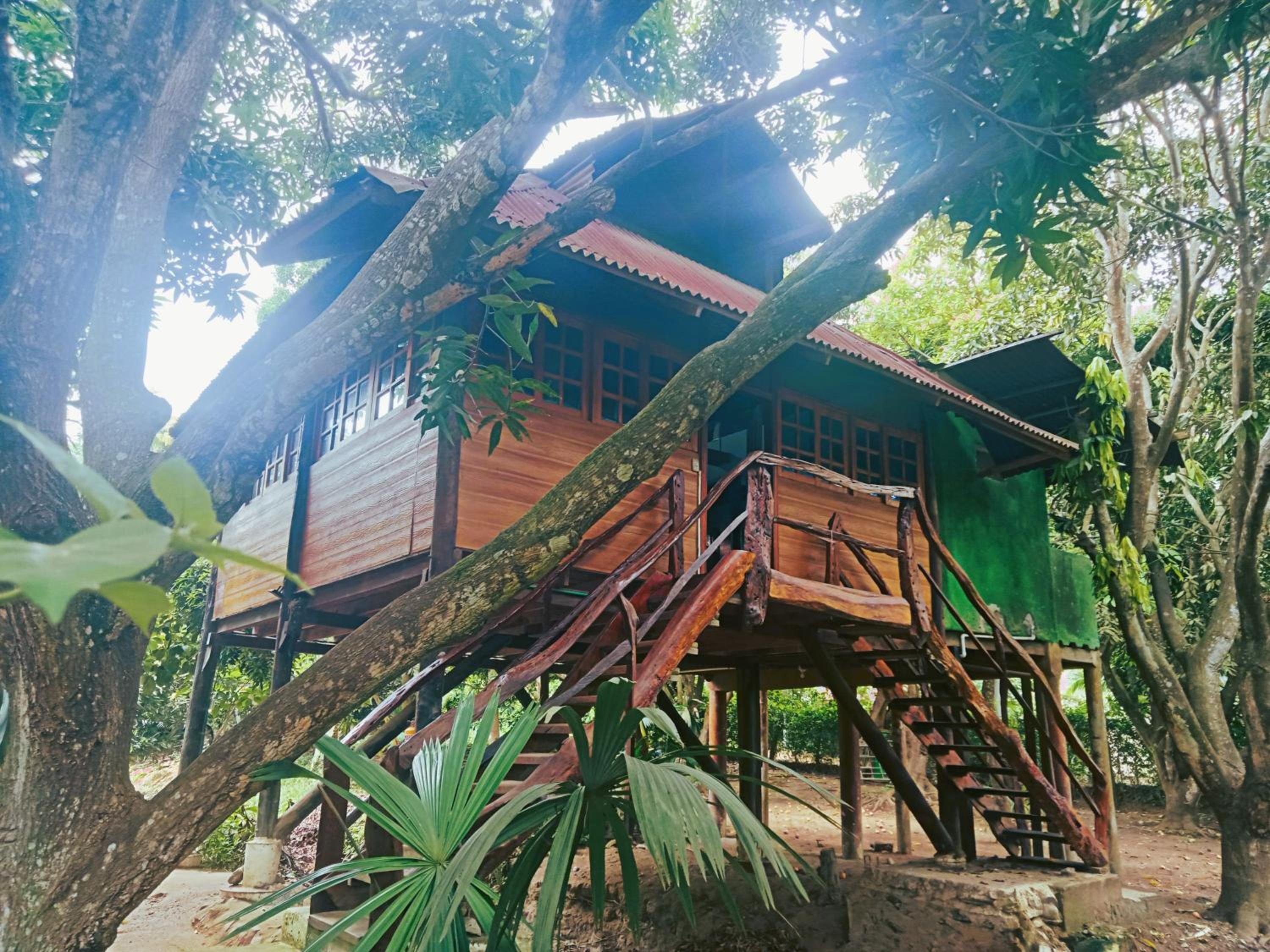 Finca Los Mangos view 5