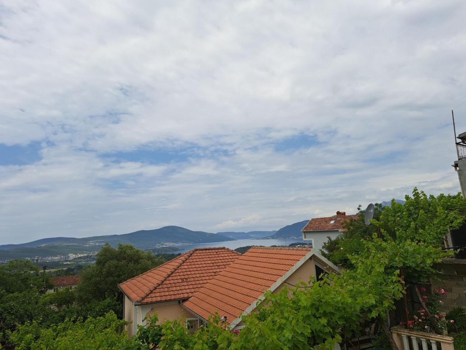 Apartman Maslovar