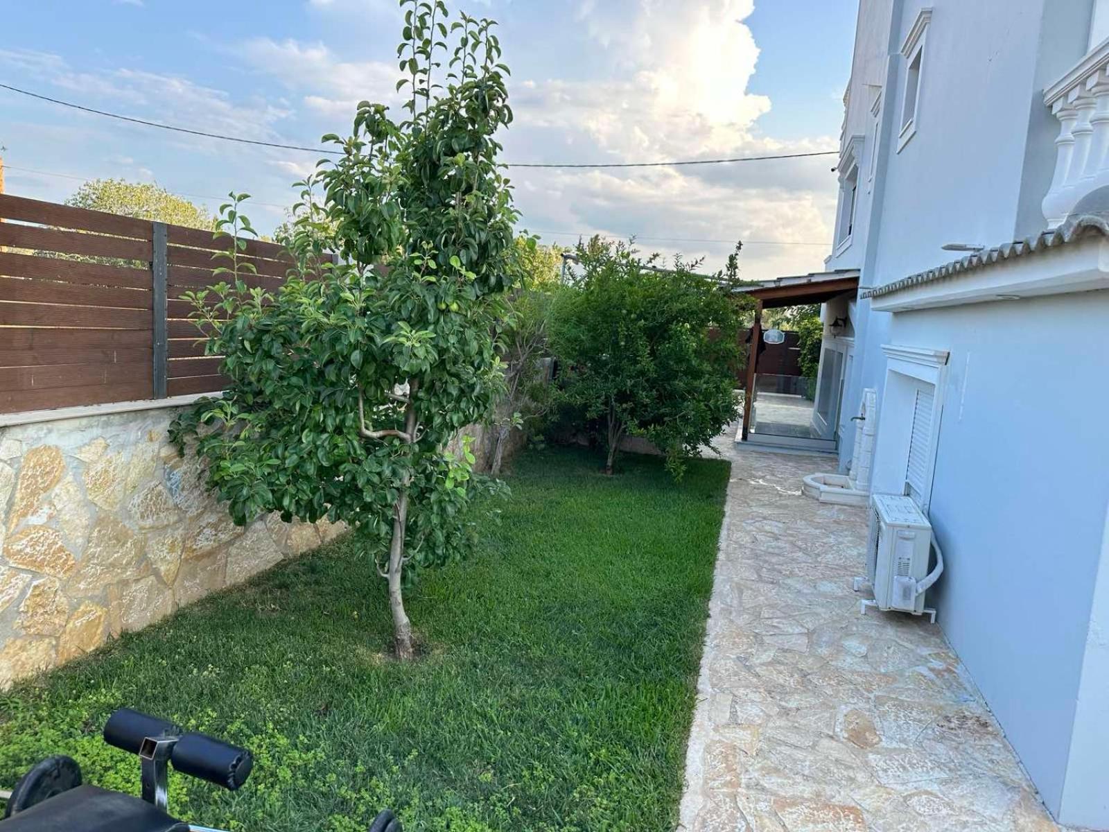 Photo 25
