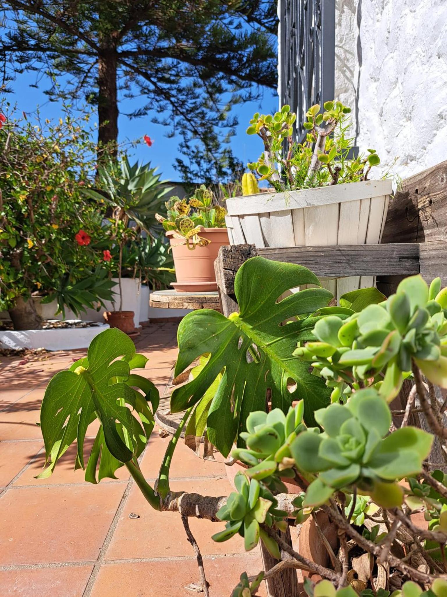 Casa Campo Mijas Costa Del Sol