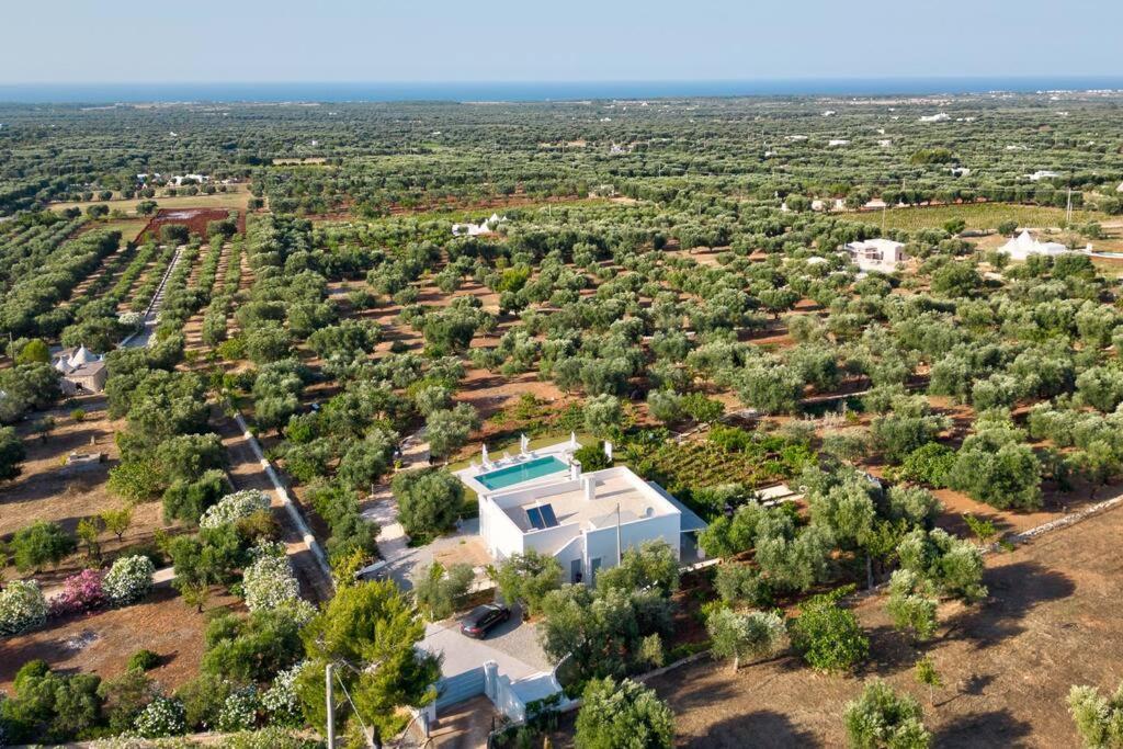 LaCorte di Ninetta.