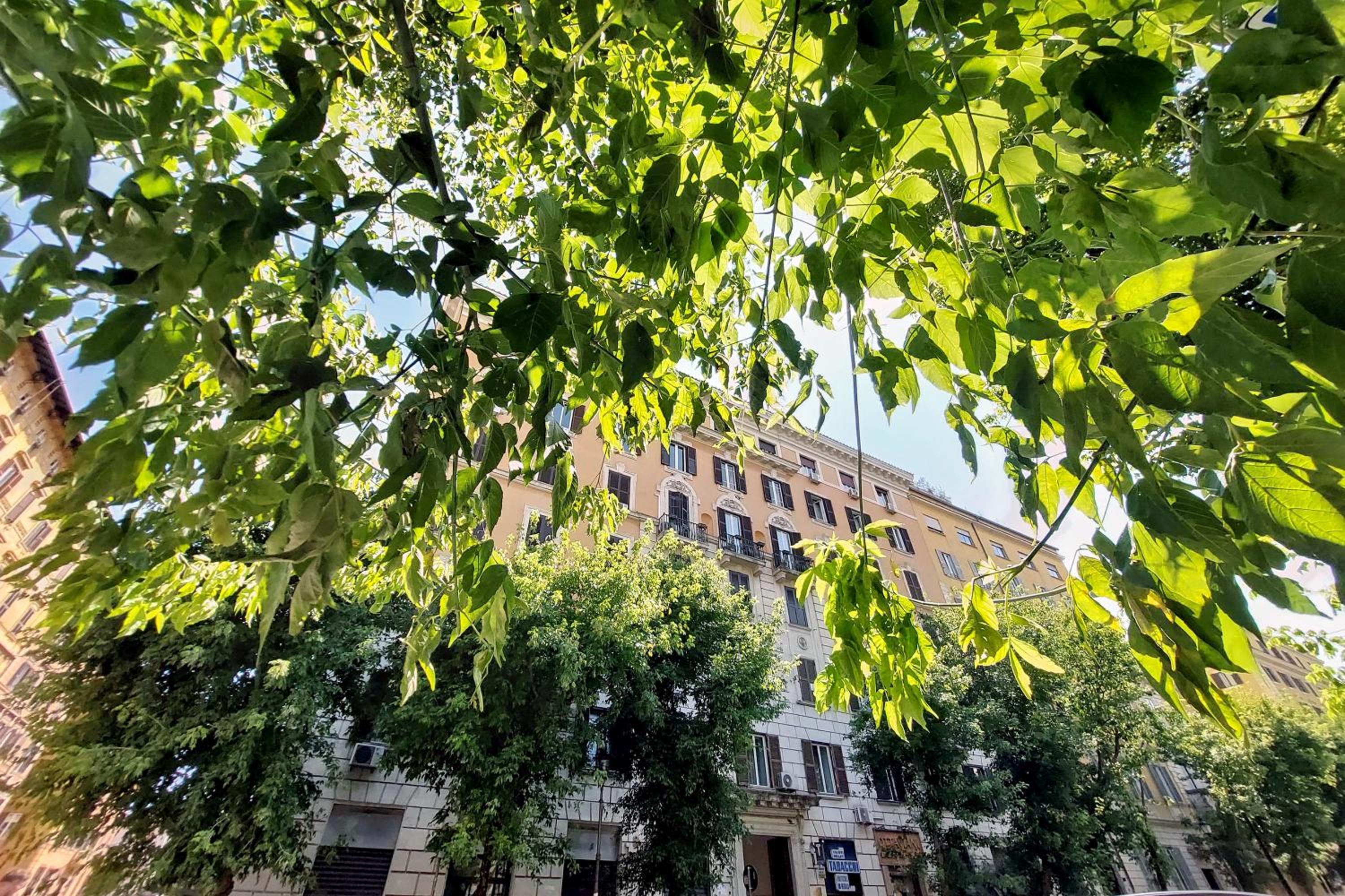 Divine Vatican View Apartment