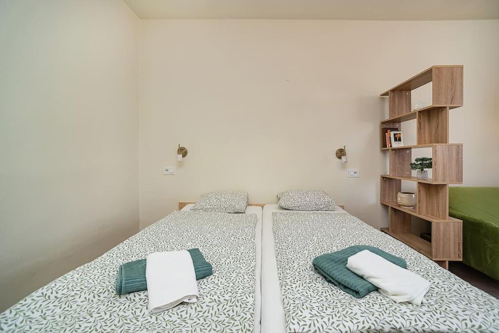 Apartment in Zizkov -504-