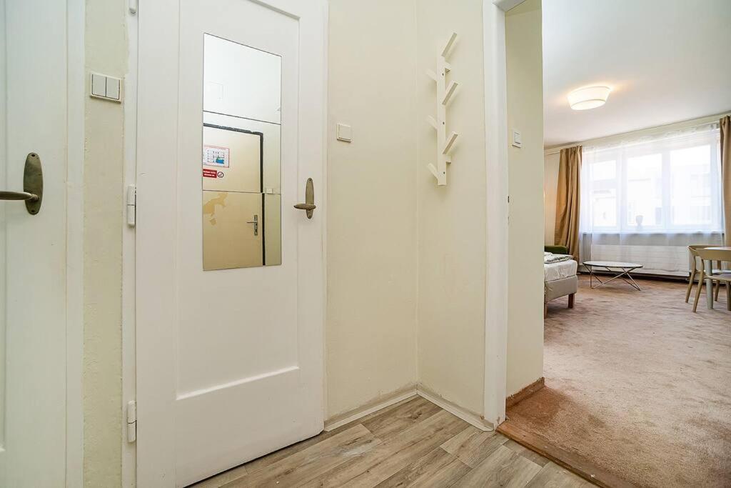 Apartment in Zizkov -504-
