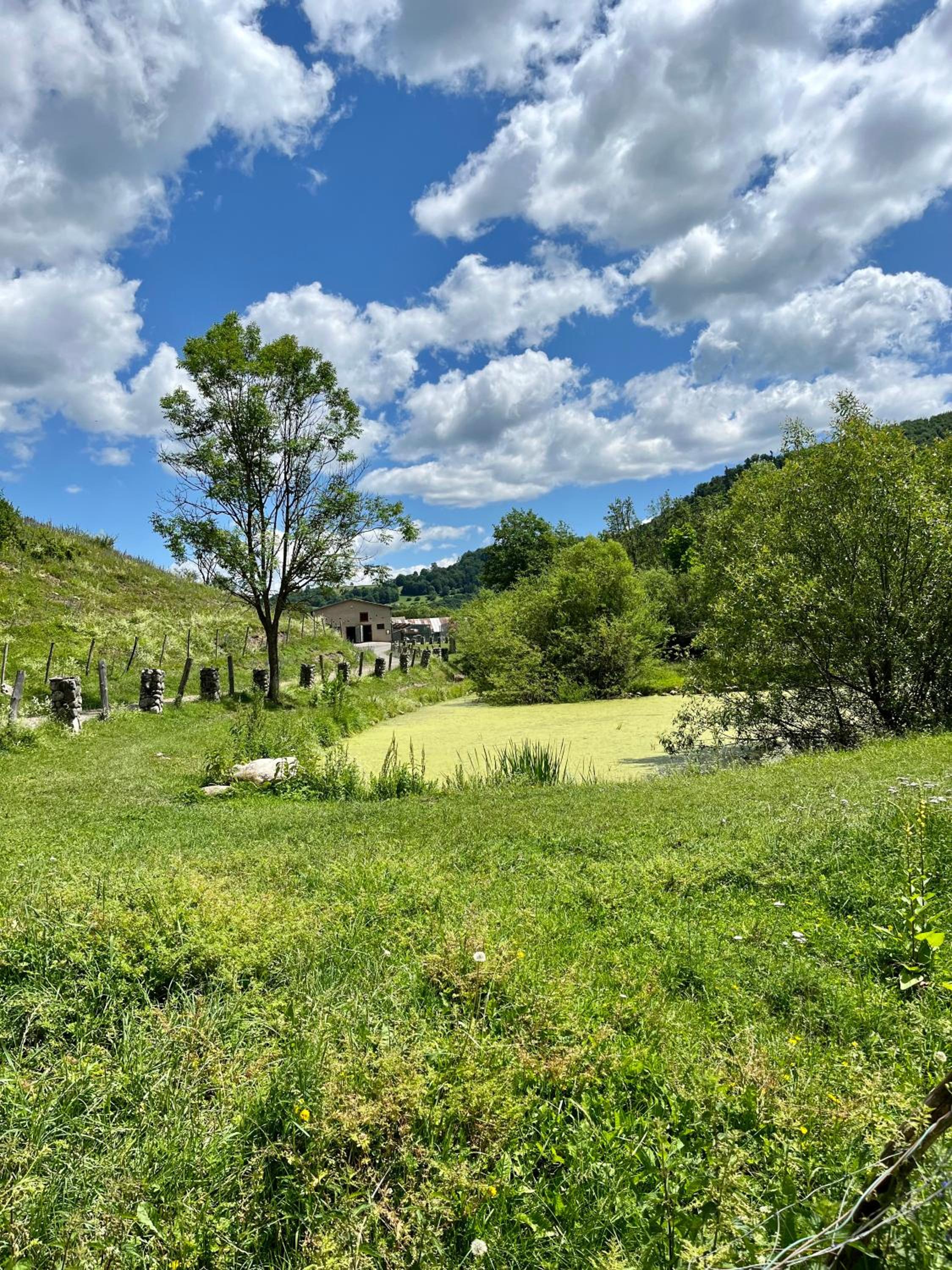 Ski eden view 2