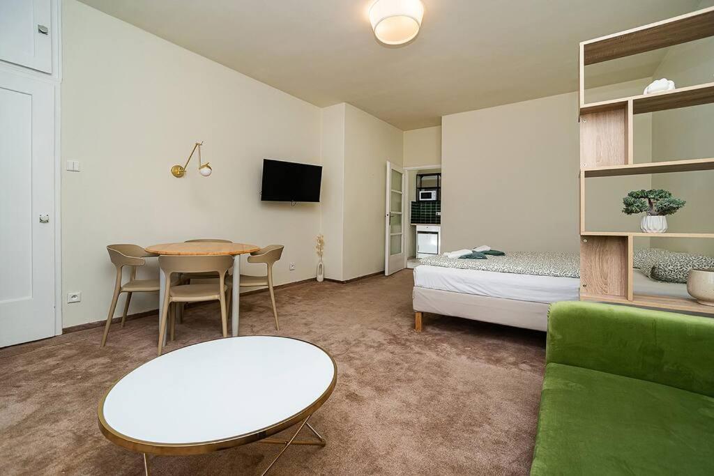 Apartment in Zizkov -504-