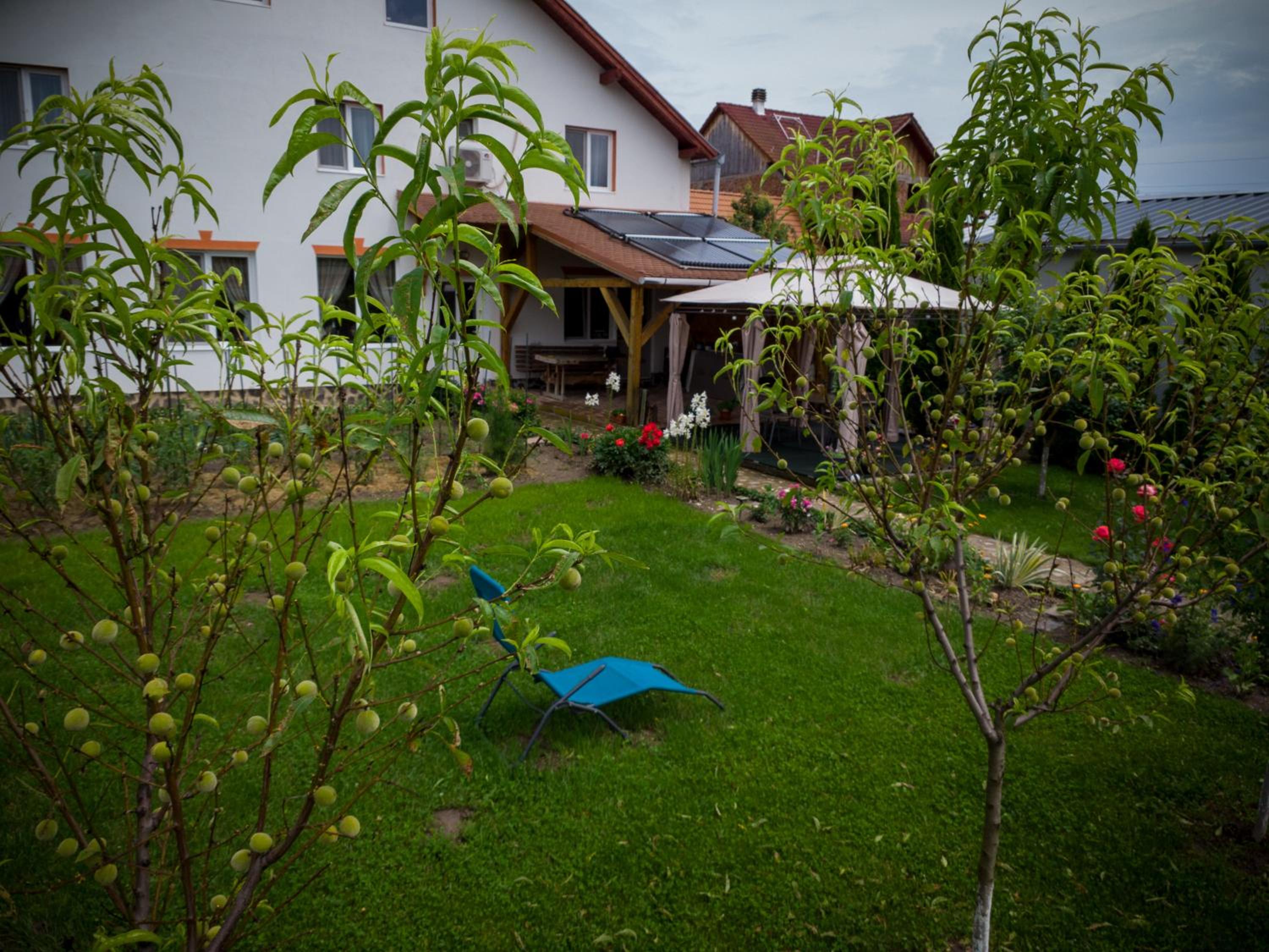 Photo 7