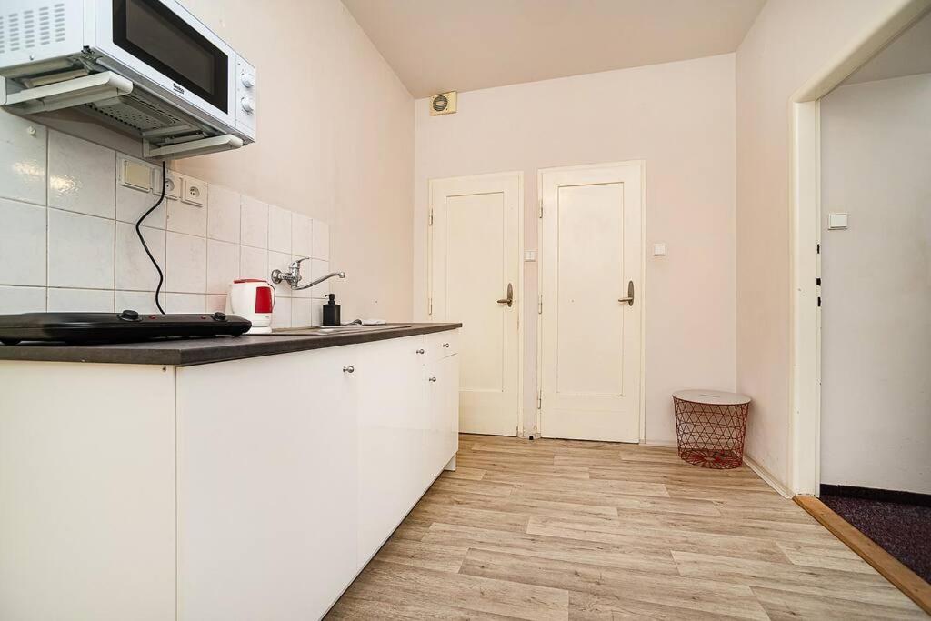 Flat in Zizkov -502-