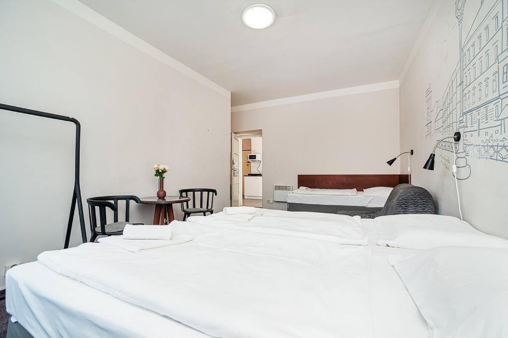 Flat in Zizkov -502-