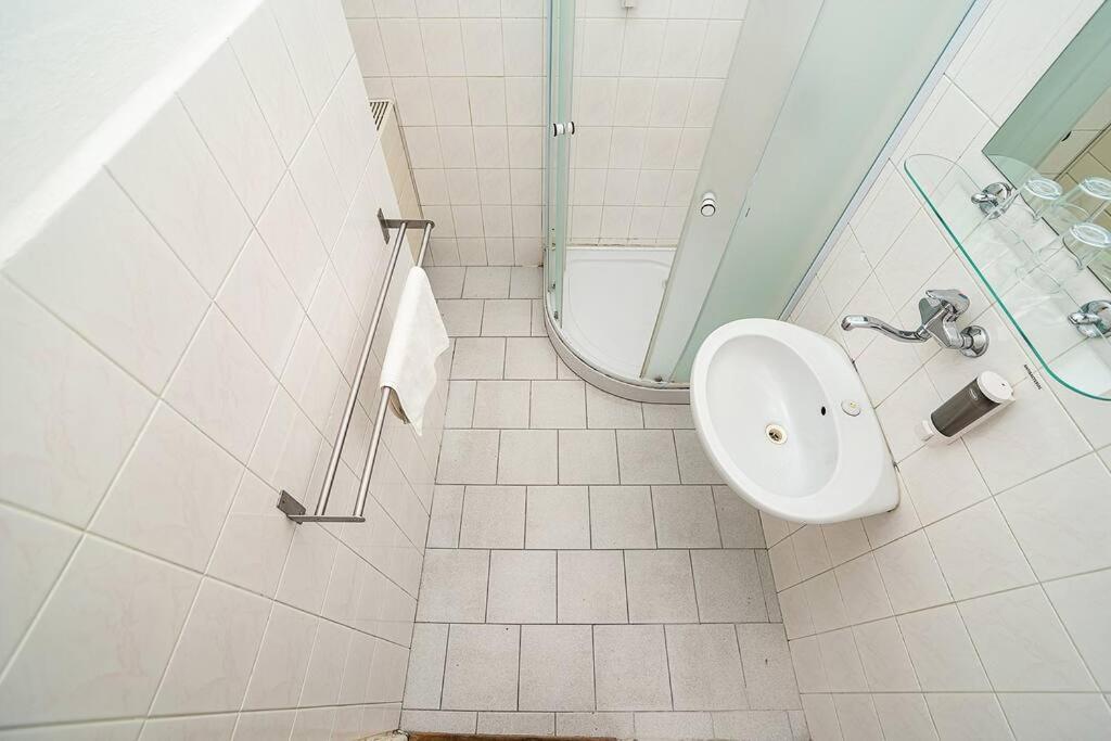 Flat in Zizkov -502-