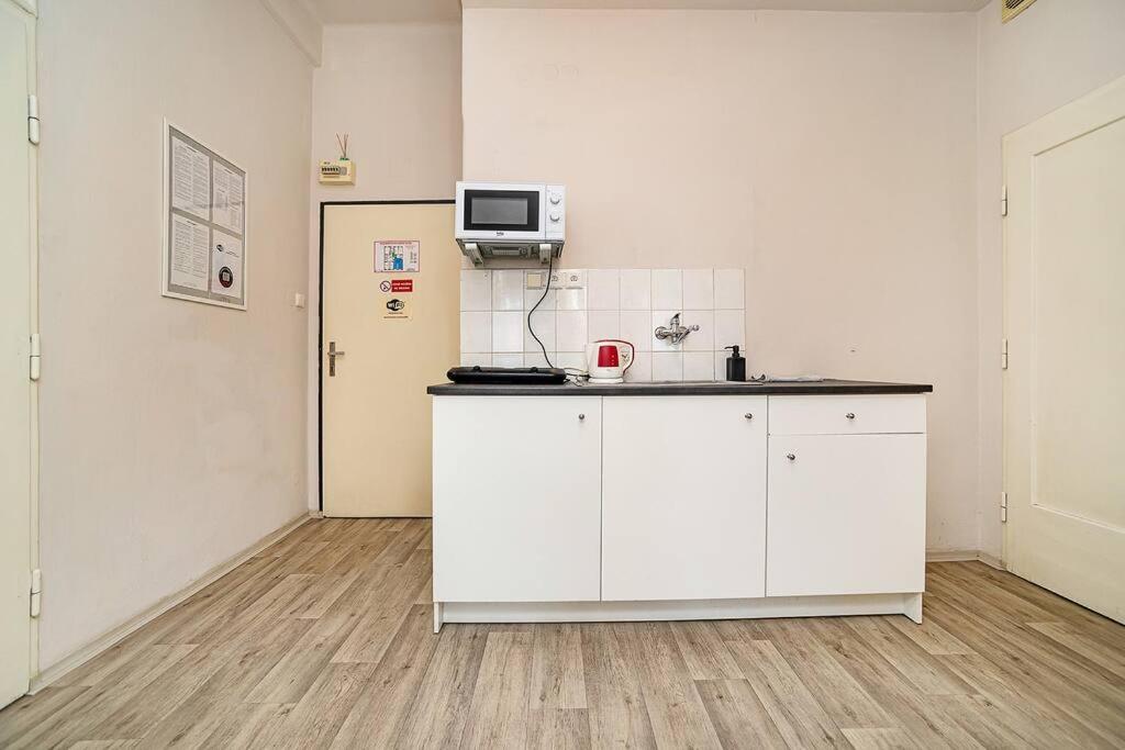 Flat in Zizkov -502-