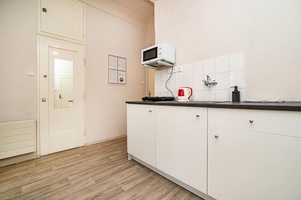 Flat in Zizkov -502-