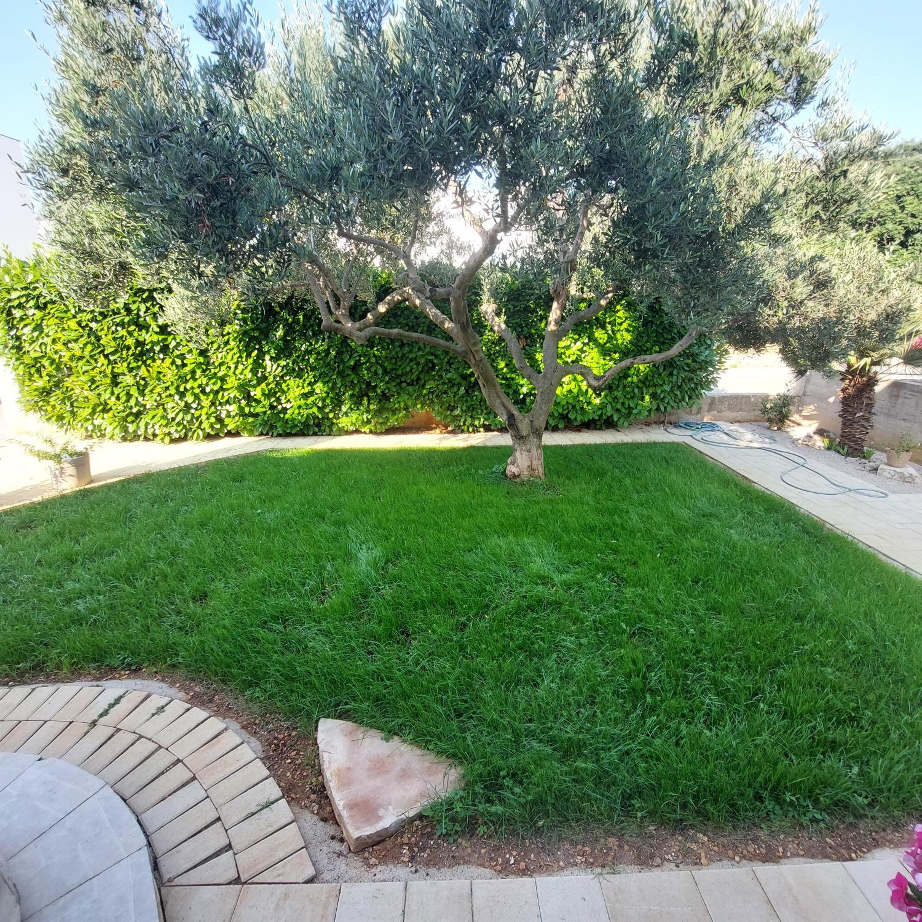 Photo 44