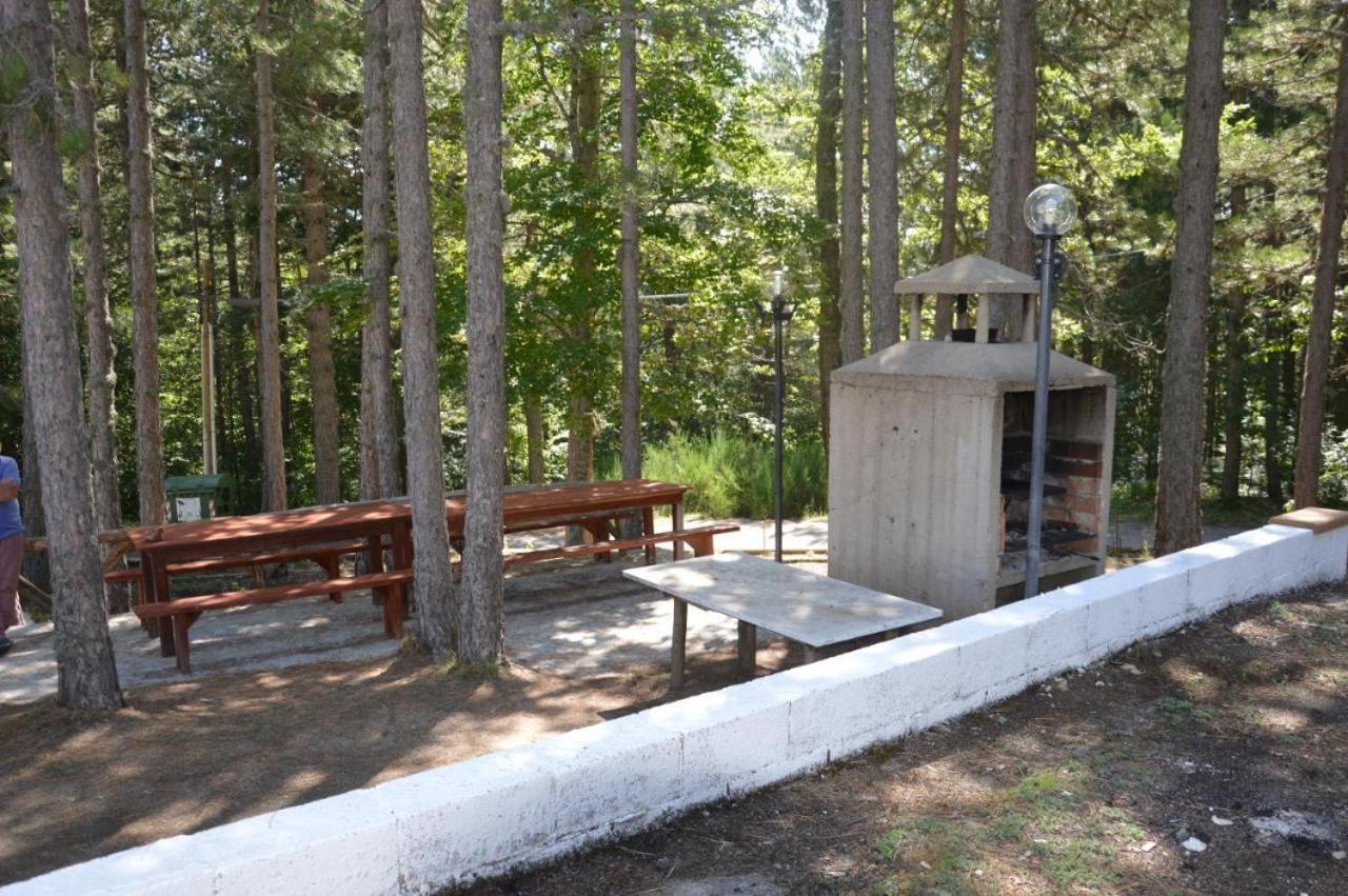 In mezzo al bosco