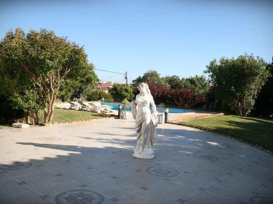 Photo 33