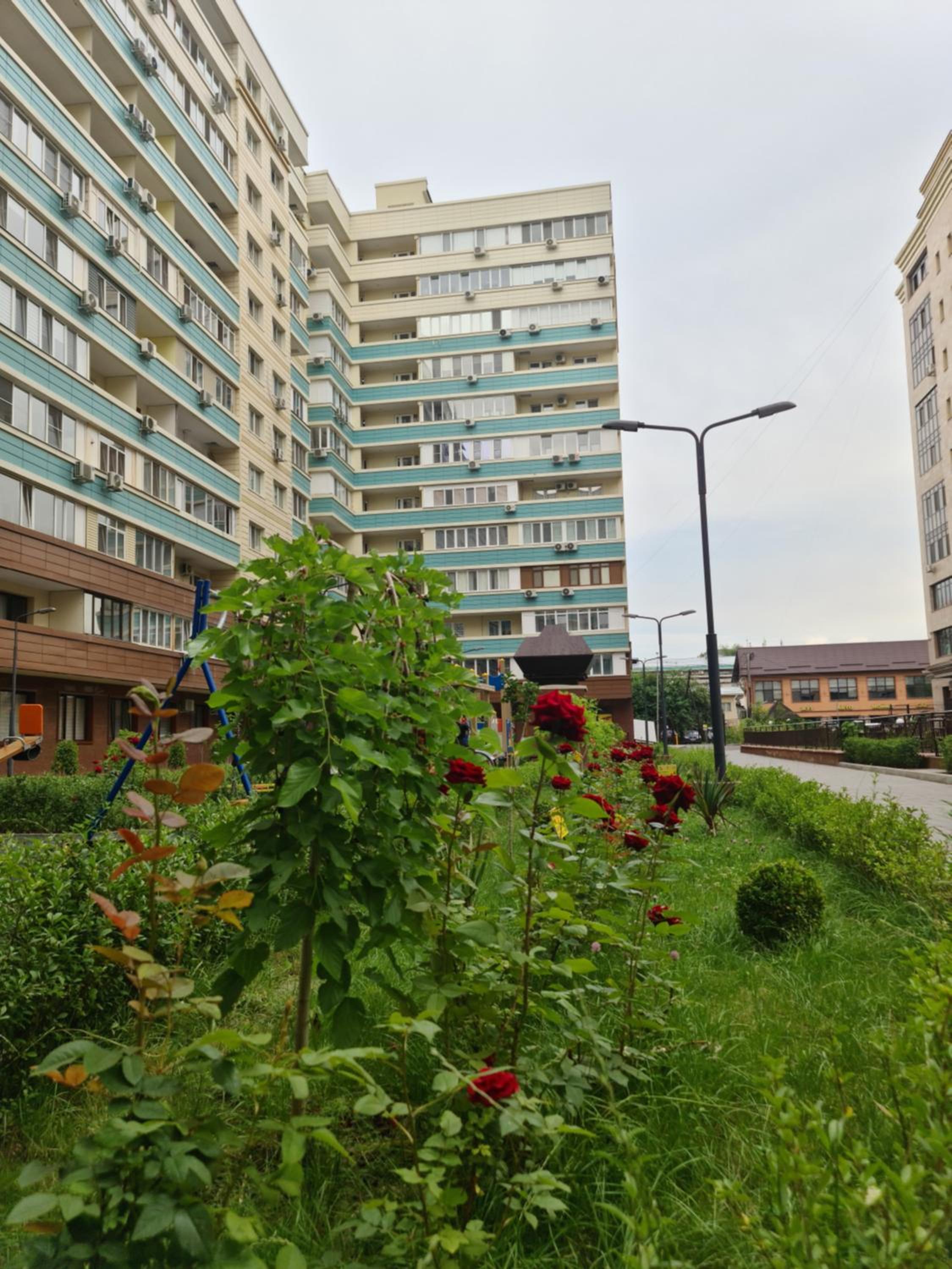 Photo 40