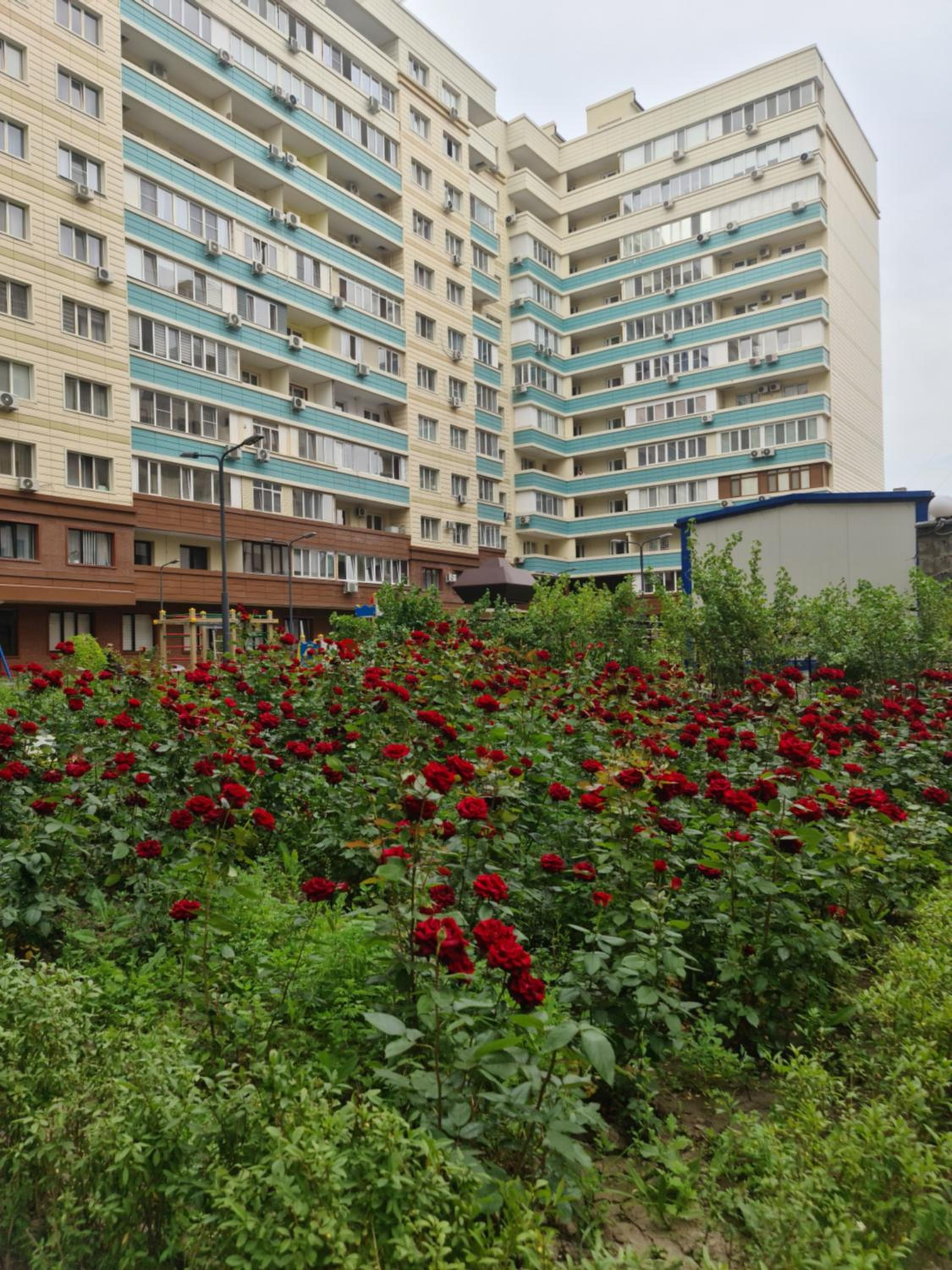 Photo 41