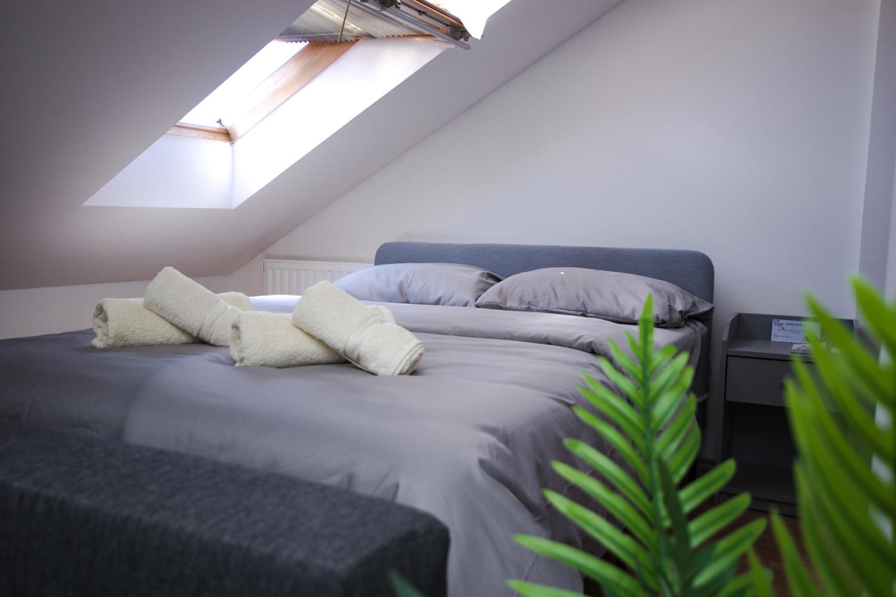 Apartman 21, photo 16