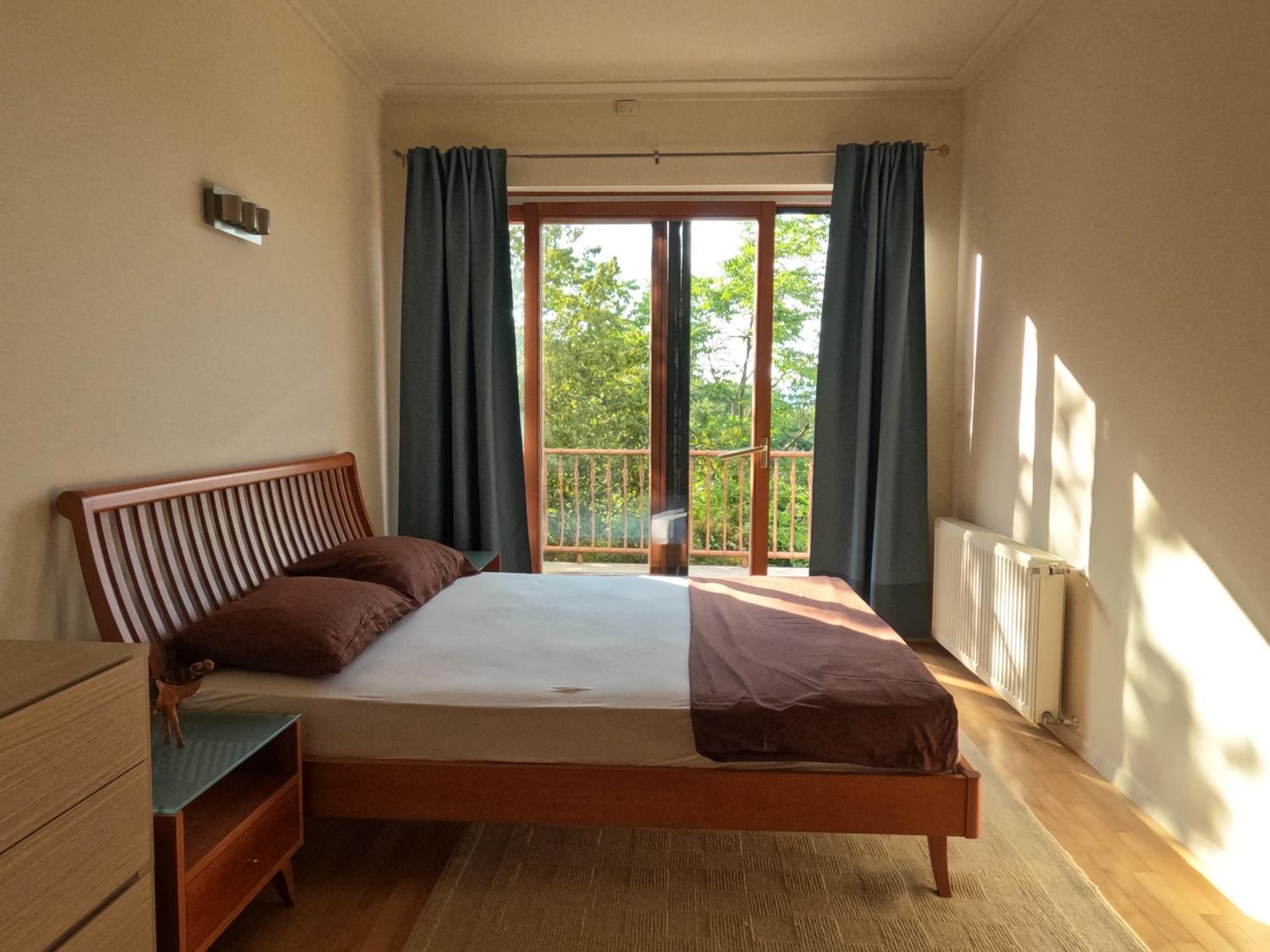 Luxury Green Villa view 5