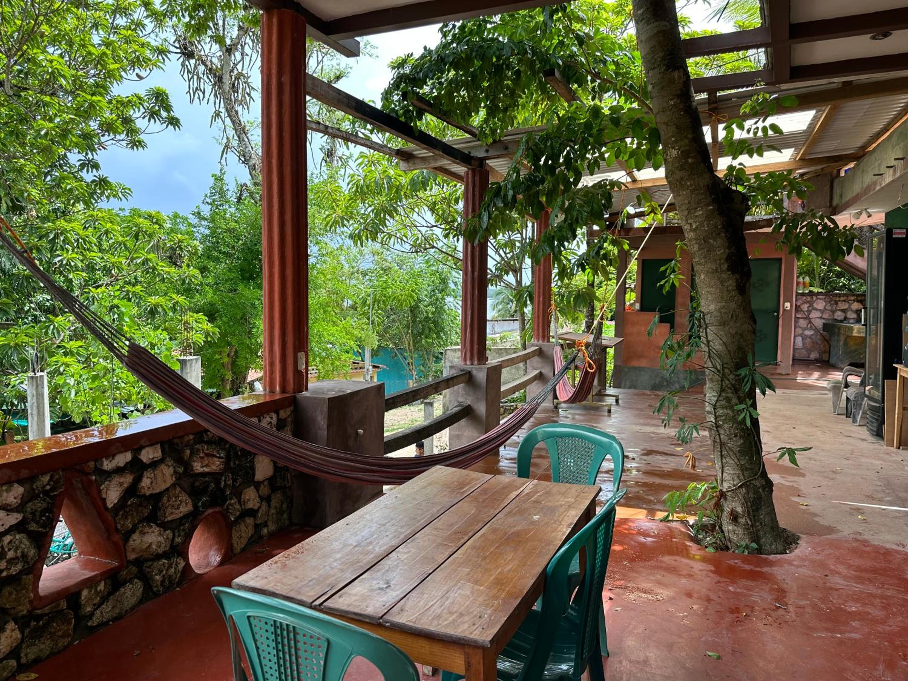 Out Back Zapote view 2