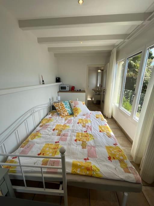 Idyllic studio with panoramic views