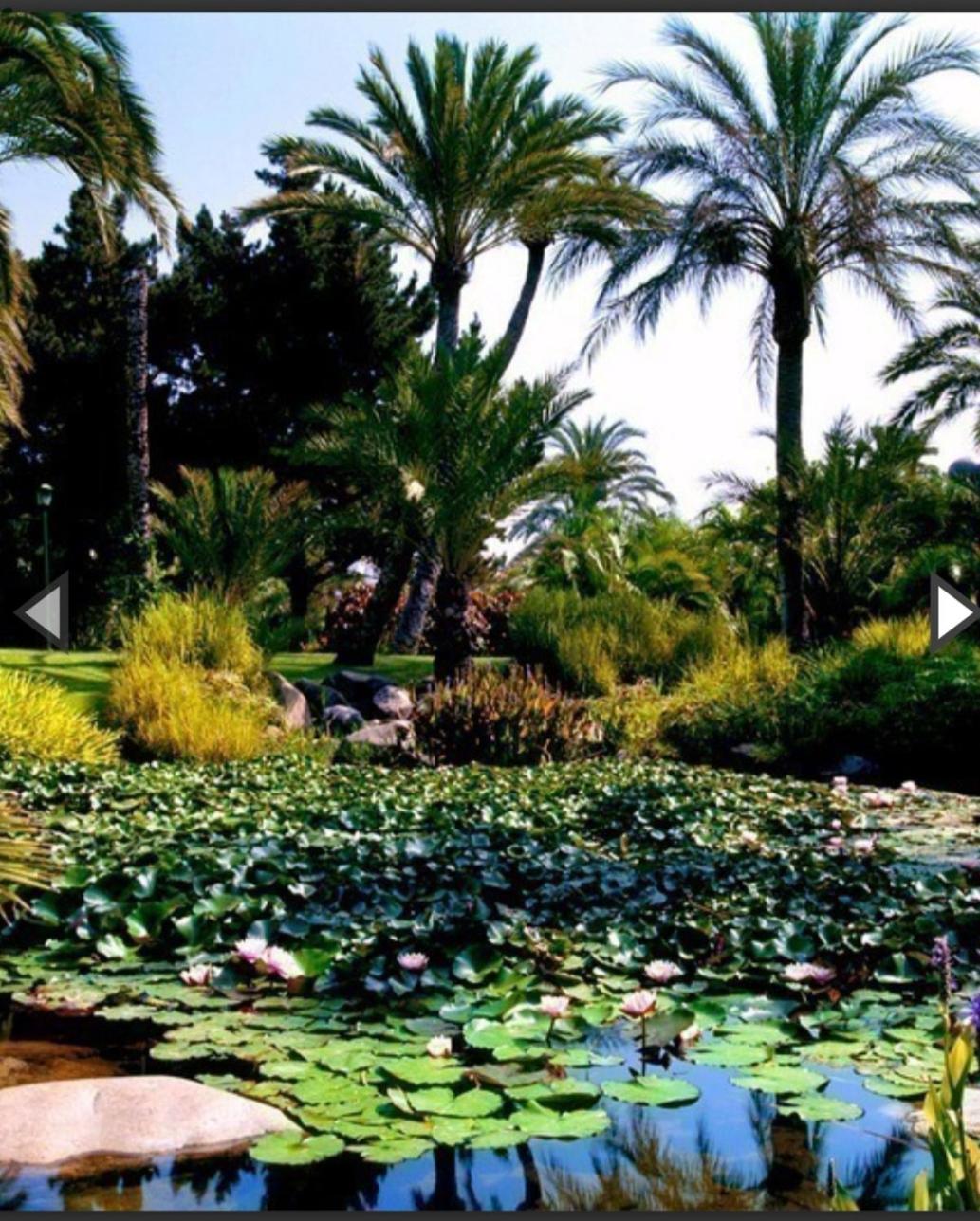 Marbella Urb.Playas del Duque Puerto Banus